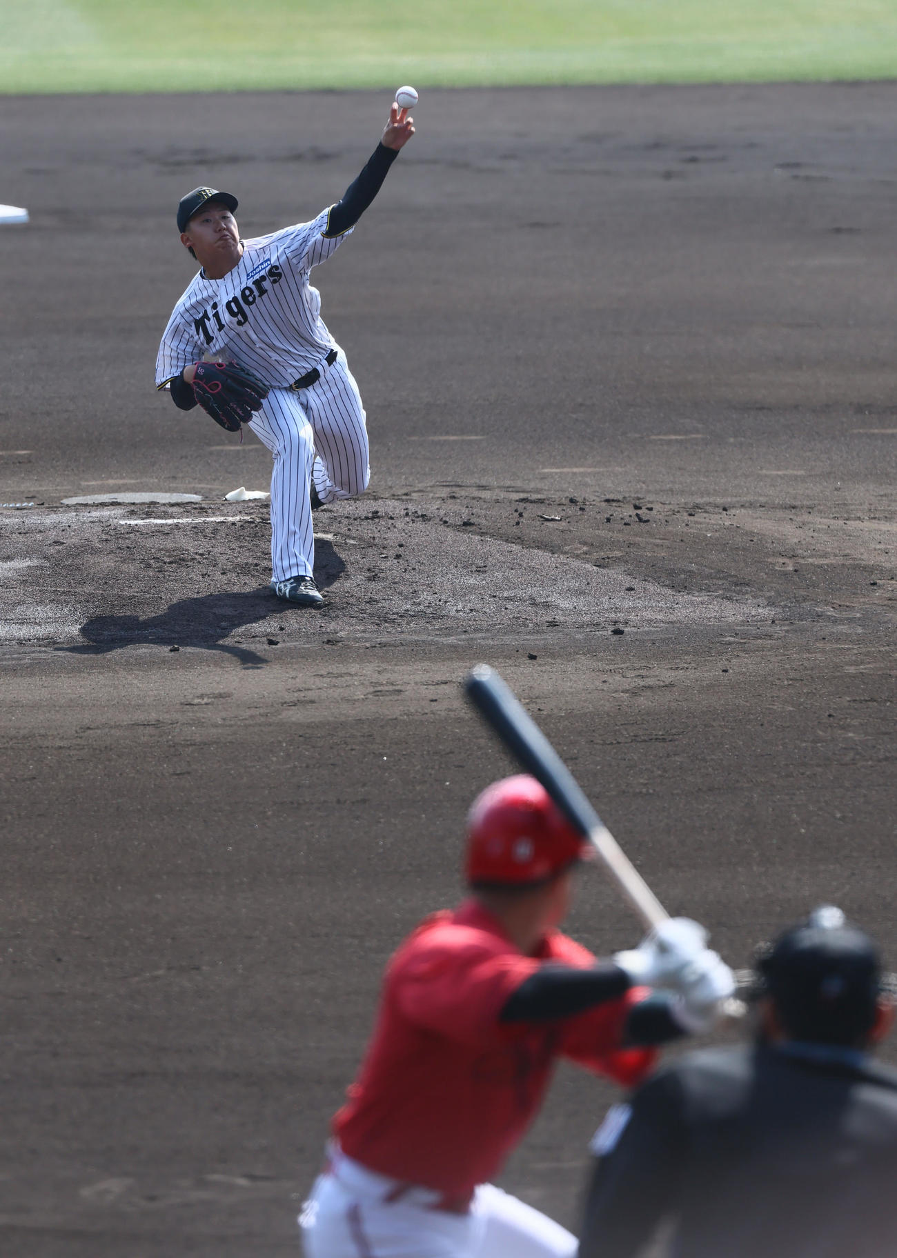 阪神対広島　阪神先発の門別（撮影・藤尾明華）
