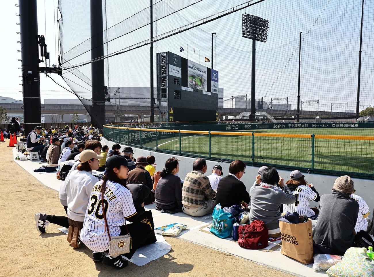 阪神対広島　外野にもファンが詰めかけた（撮影・上田博志）