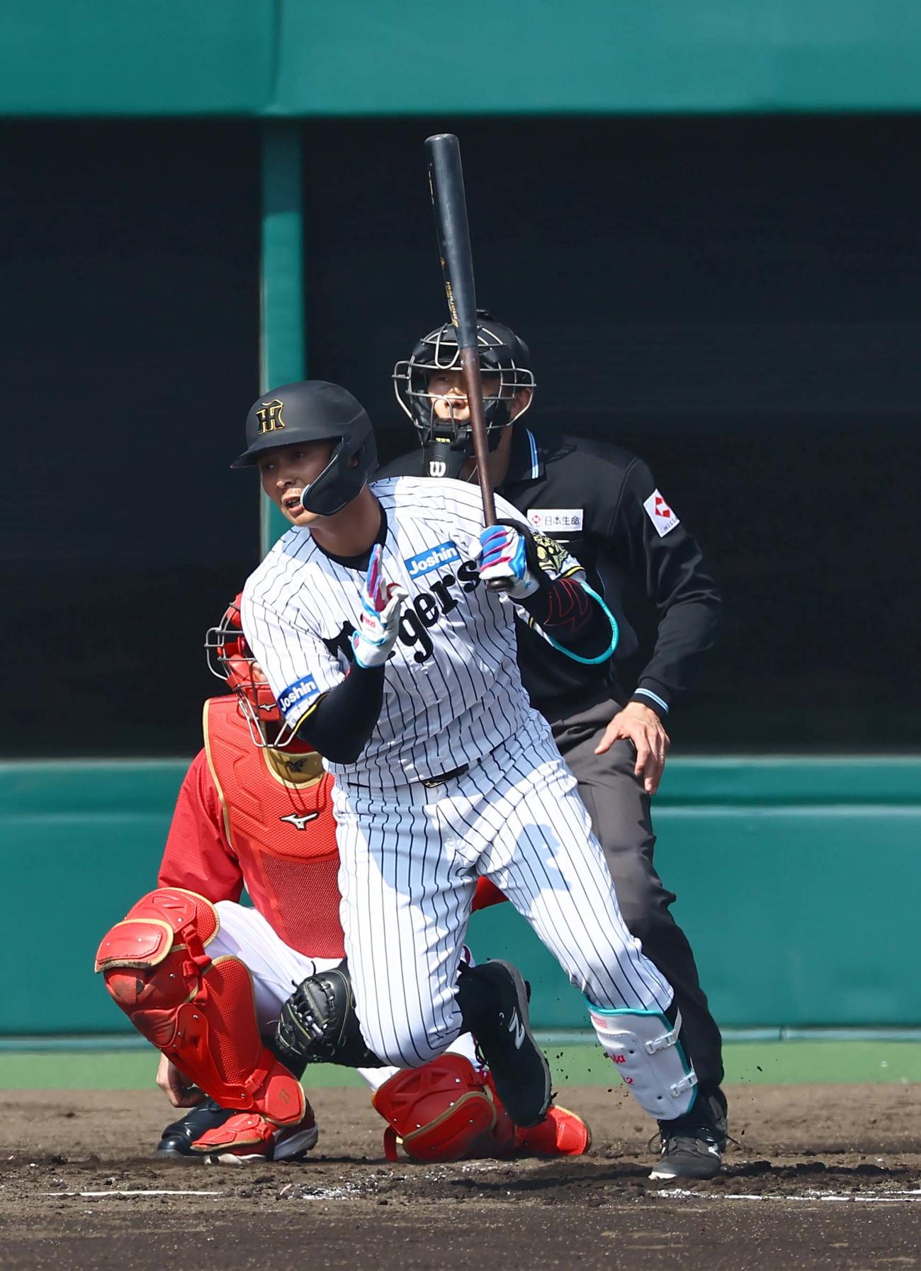 阪神対広島　2回裏阪神無死、井上は右前打を放つ（撮影・上田博志）