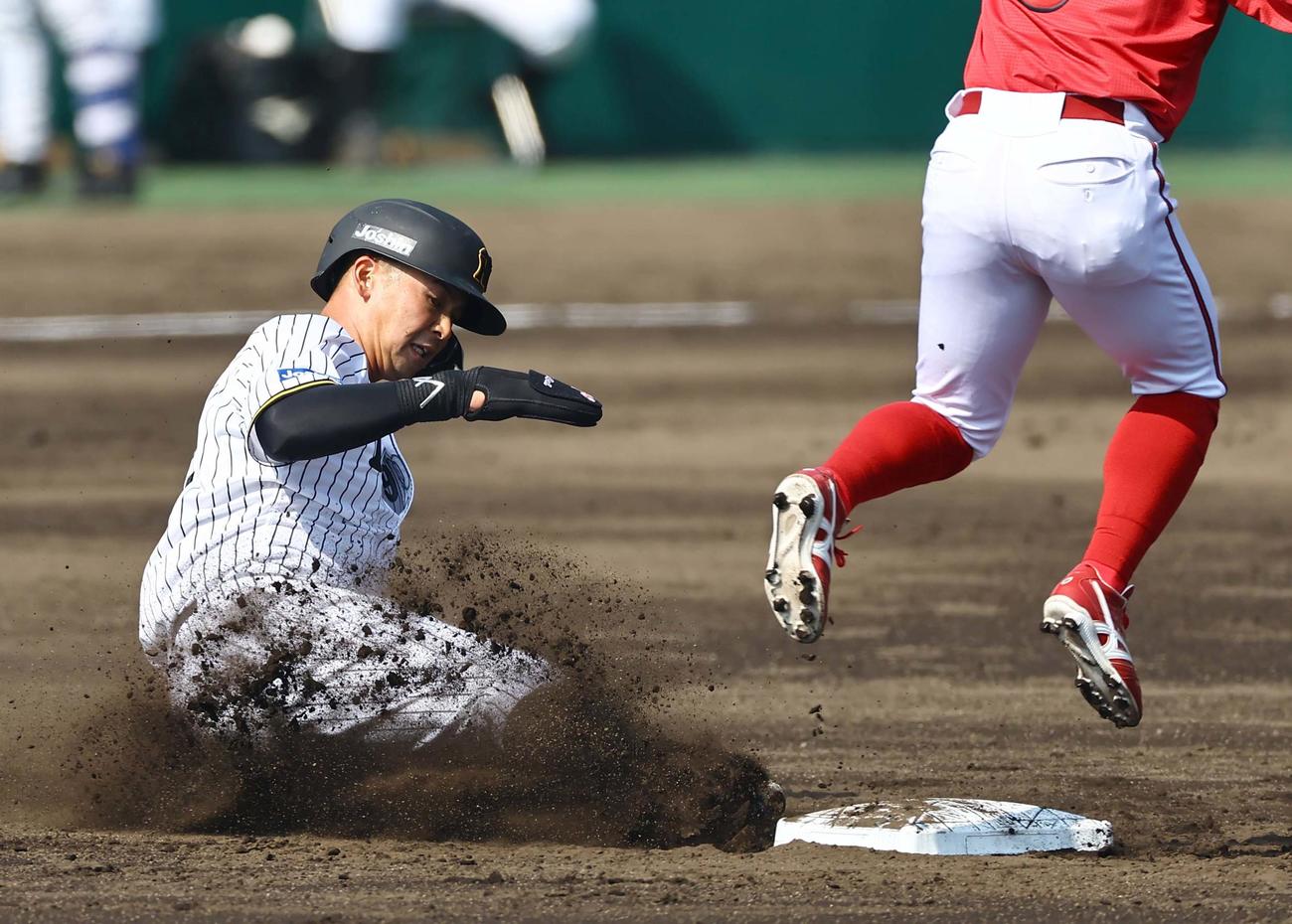 阪神対広島　2回裏阪神2死一塁、井上は二盗を決める（撮影・上田博志）