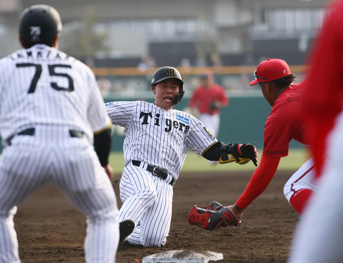 阪神対広島　7回裏阪神1死二、三塁、佐野は中越え2点適時二塁打を放ち三塁を狙うもタッチアウト。野手ラミレス（撮影・藤尾明華）