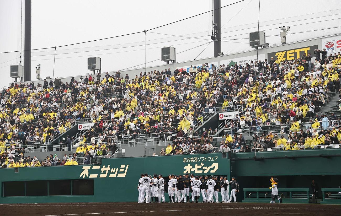 阪神対広島　サヨナラ勝利を喜ぶ阪神ナインとファン（撮影・上田博志）