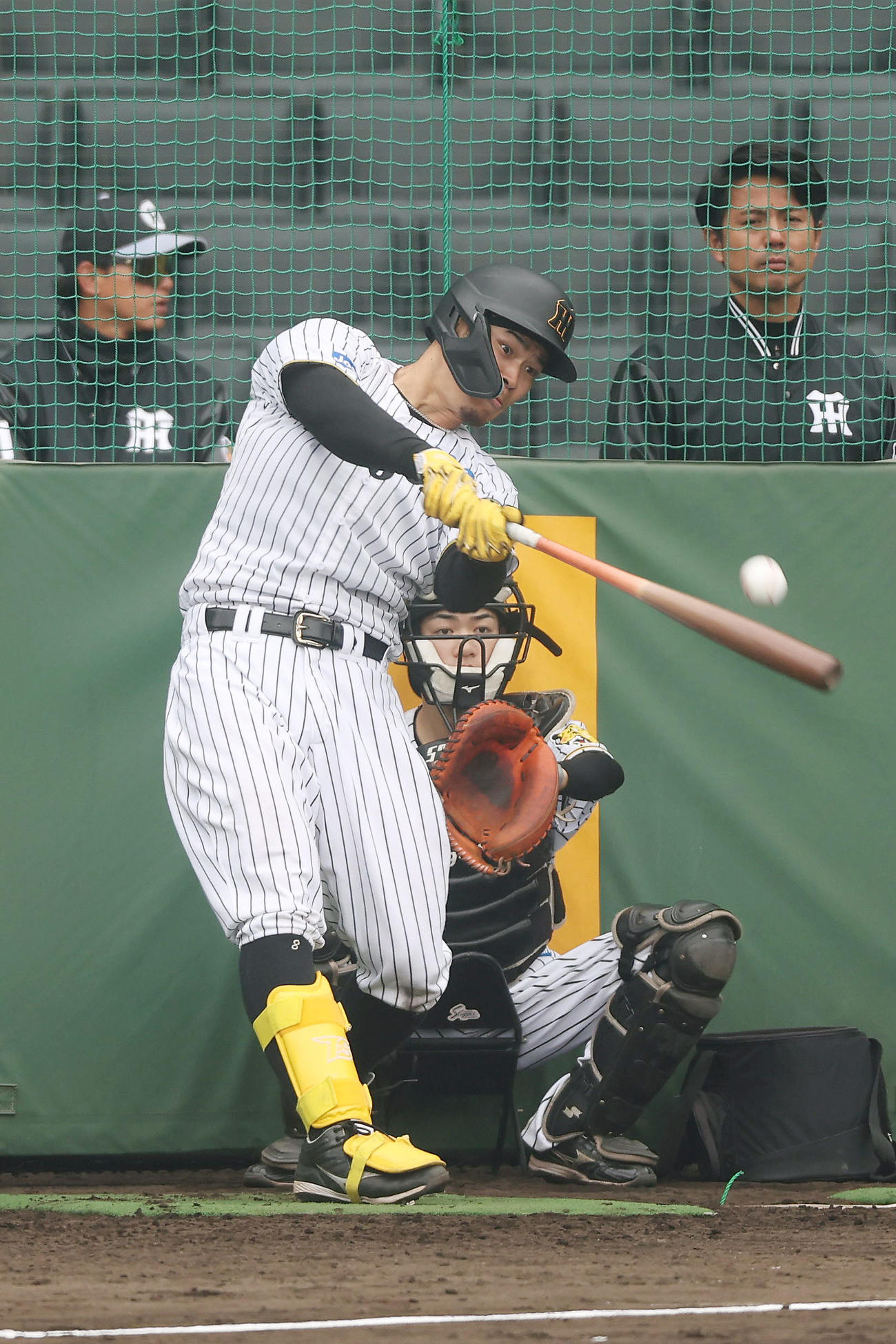 フリー打撃を行う阪神佐藤輝（撮影・前田充）