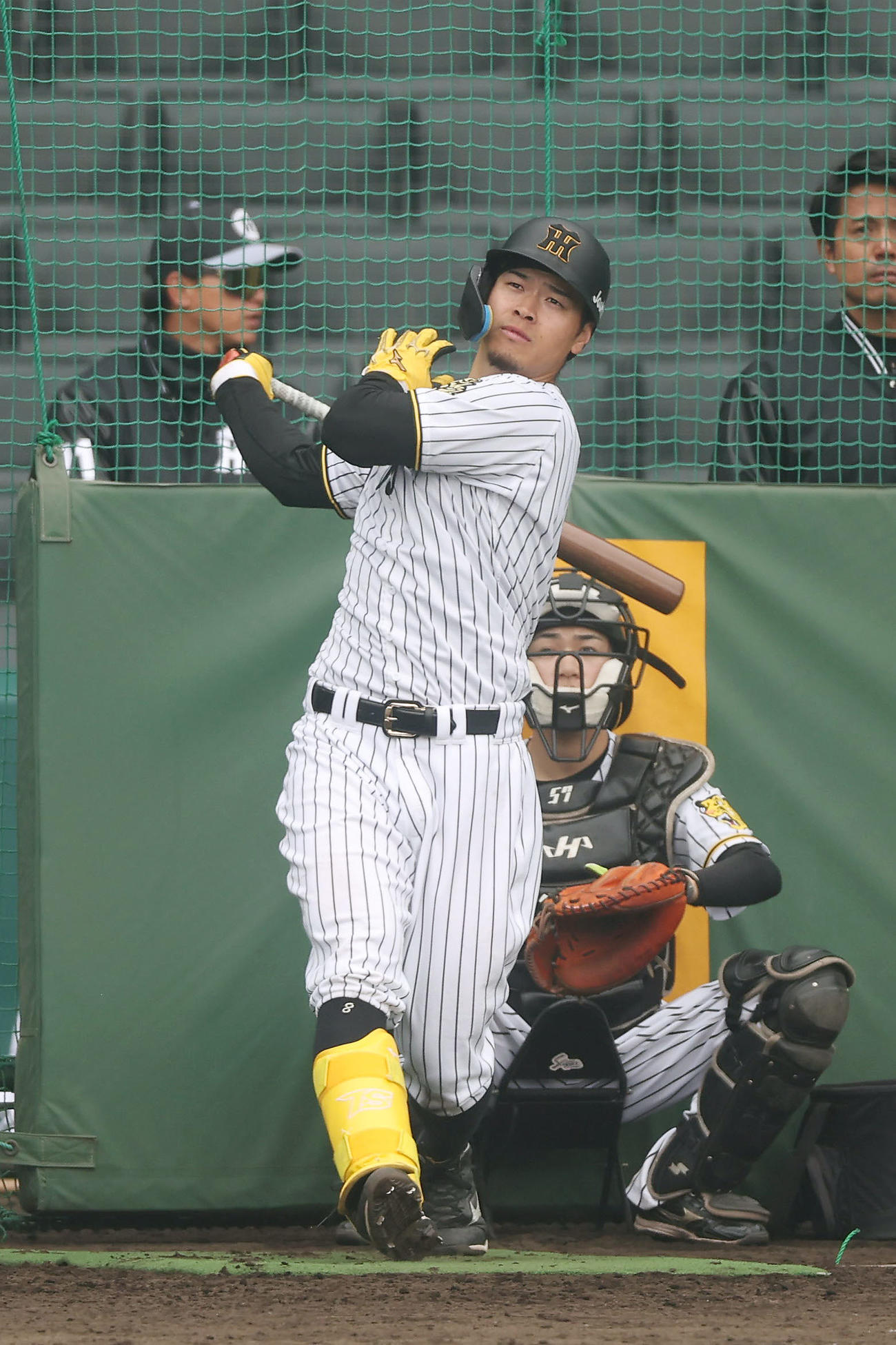 フリー打撃を行う阪神佐藤輝（撮影・前田充）