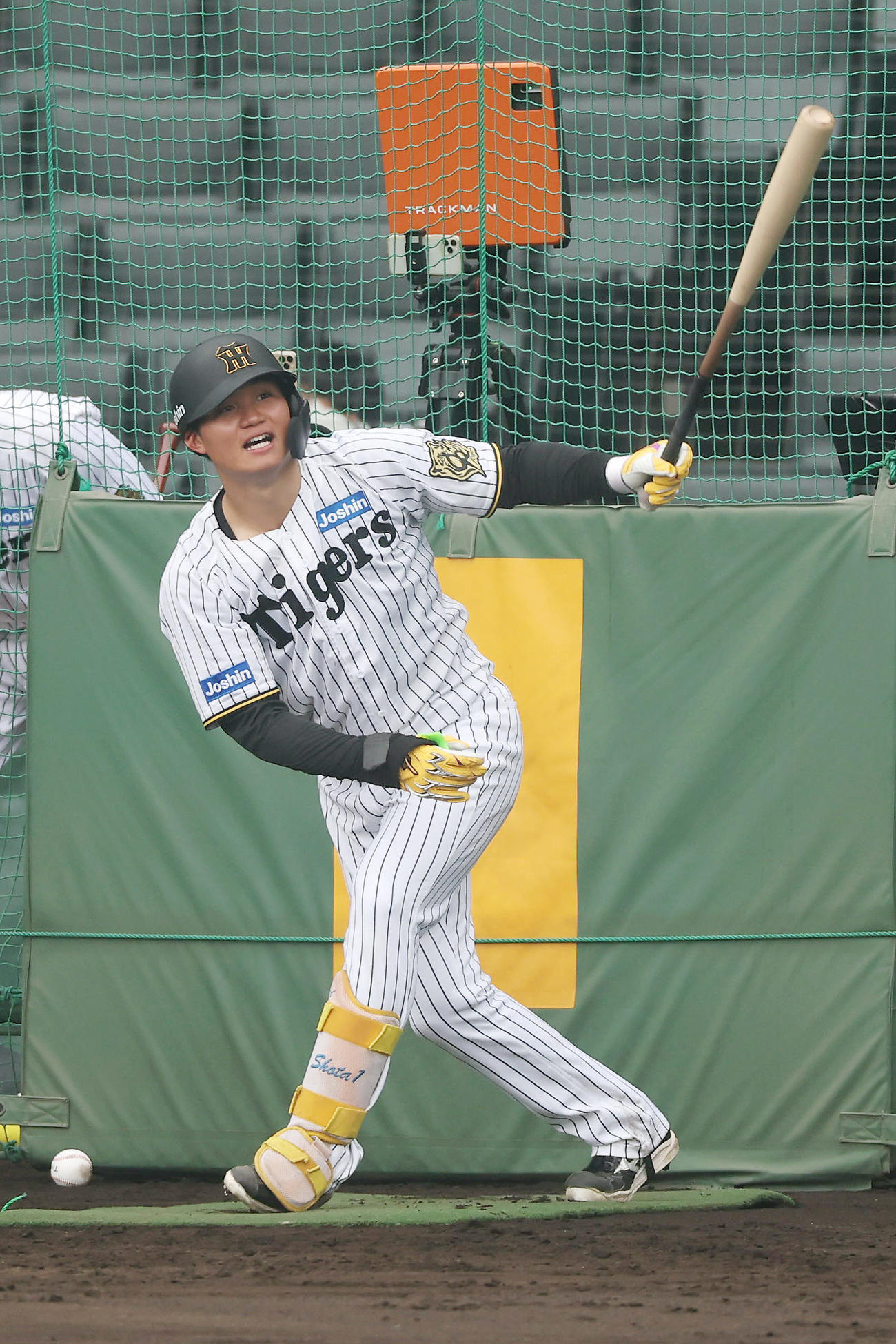 フリー打撃で打球を見つめる阪神森下（撮影・前田充）