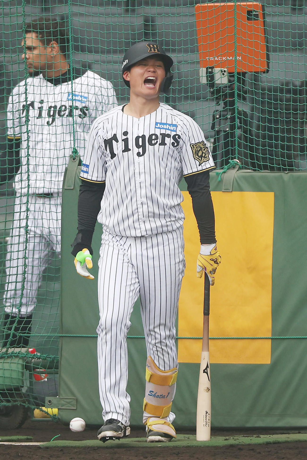 フリー打撃で声を上げる阪神森下（撮影・前田充）