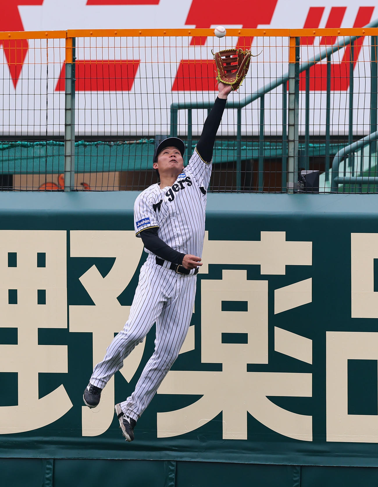 フェンス際で飛球に飛びつく森下（撮影・藤尾明華）