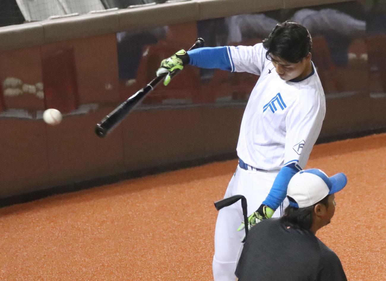 台湾シリーズの試合前に片手でティー打撃をする日本ハム清宮（2025年3月2日撮影）