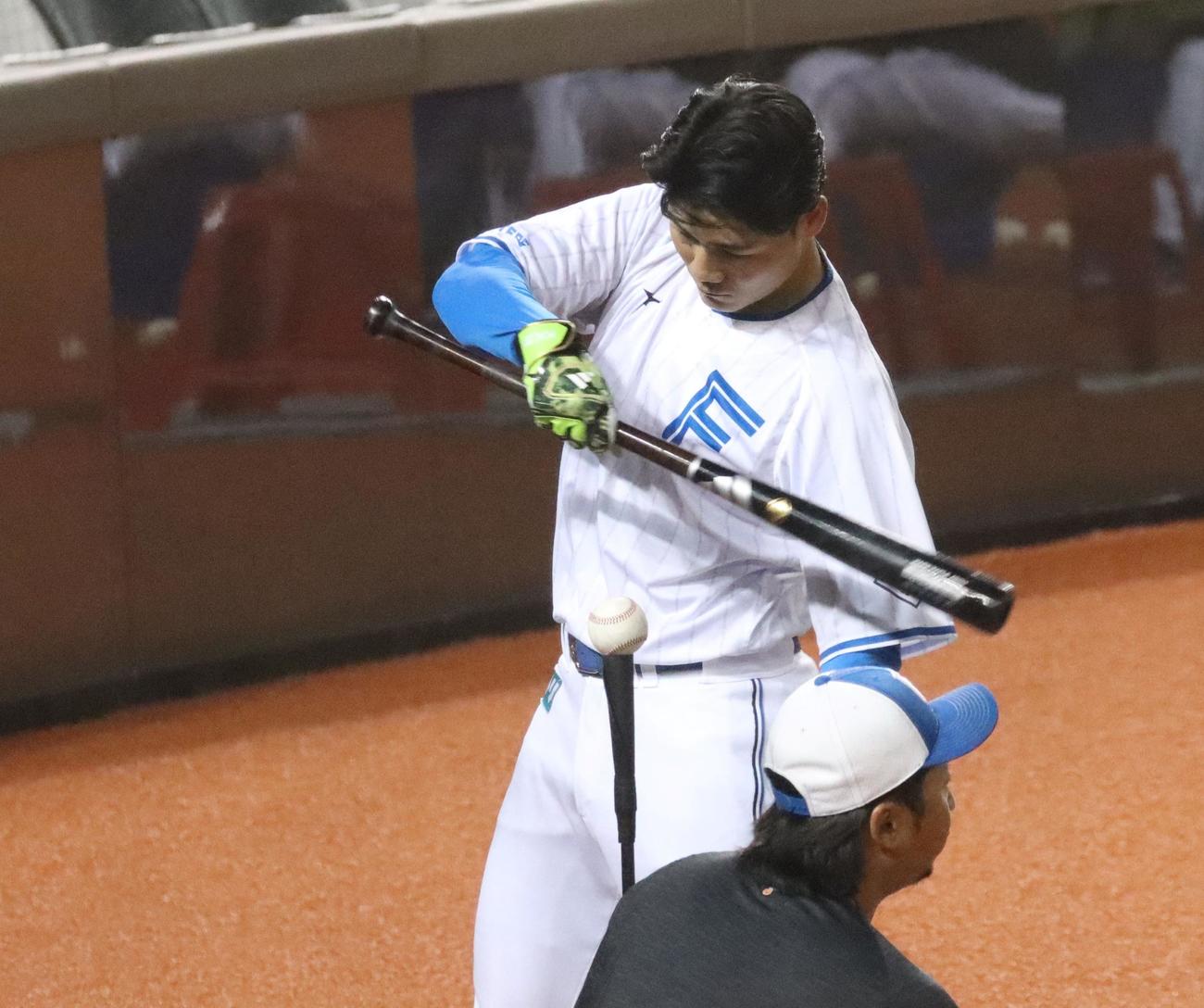 台湾シリーズの試合前に片手でティー打撃をする日本ハム清宮（2025年3月2日撮影）