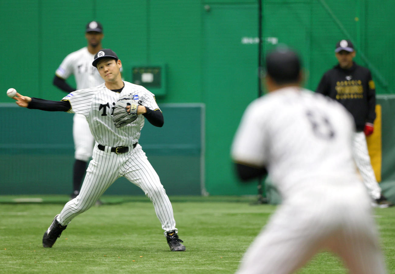 投内連係で汗を流す阪神木下（撮影・上山淳一）