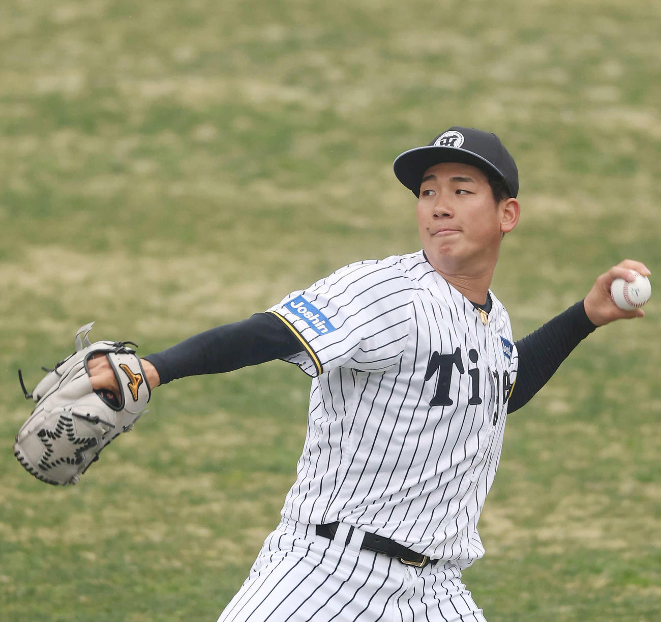 阪神伊原陵人（2025年3月2日撮影）