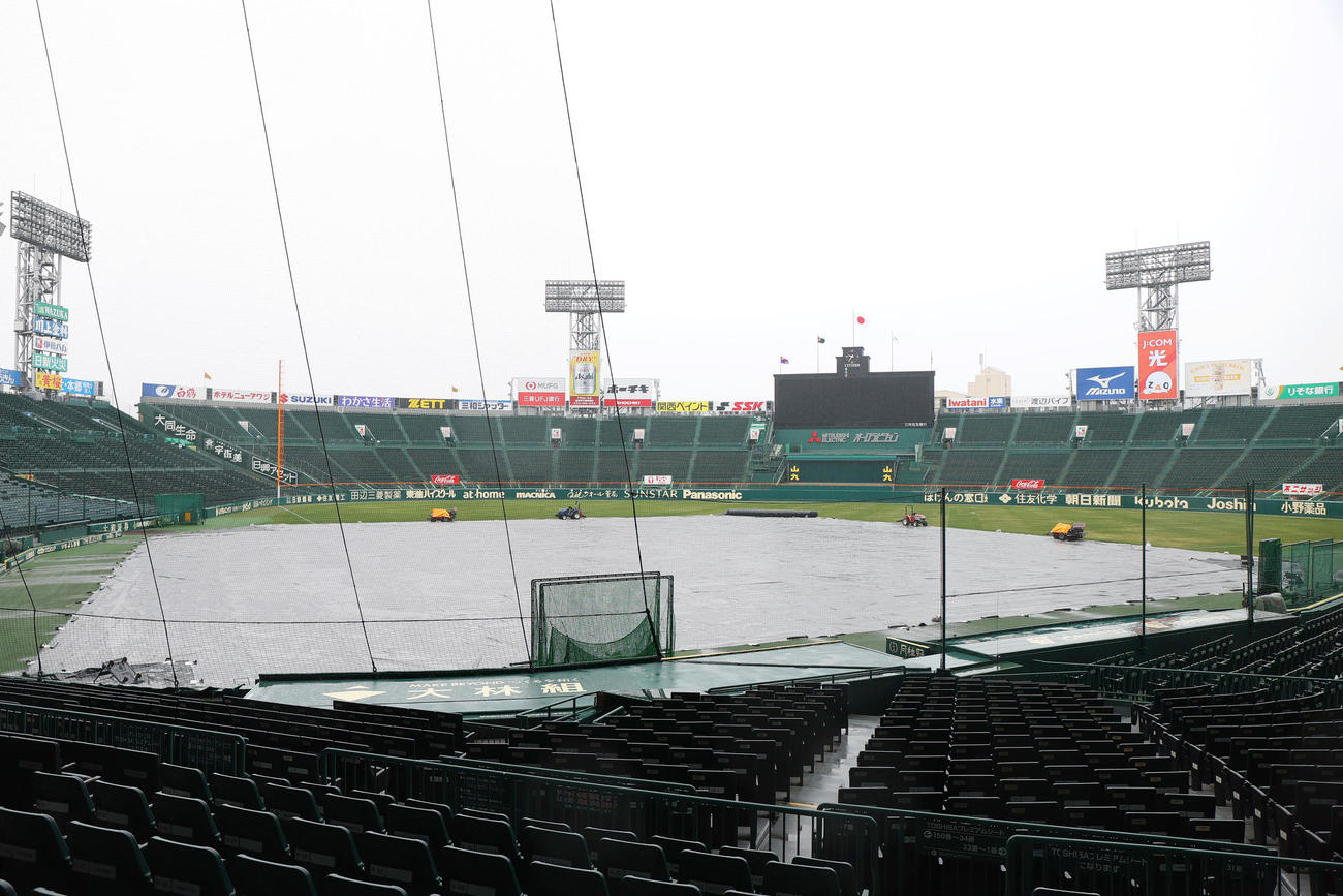オープン戦・阪神対中日　雨天中止となった甲子園球場（撮影・上山淳一）
