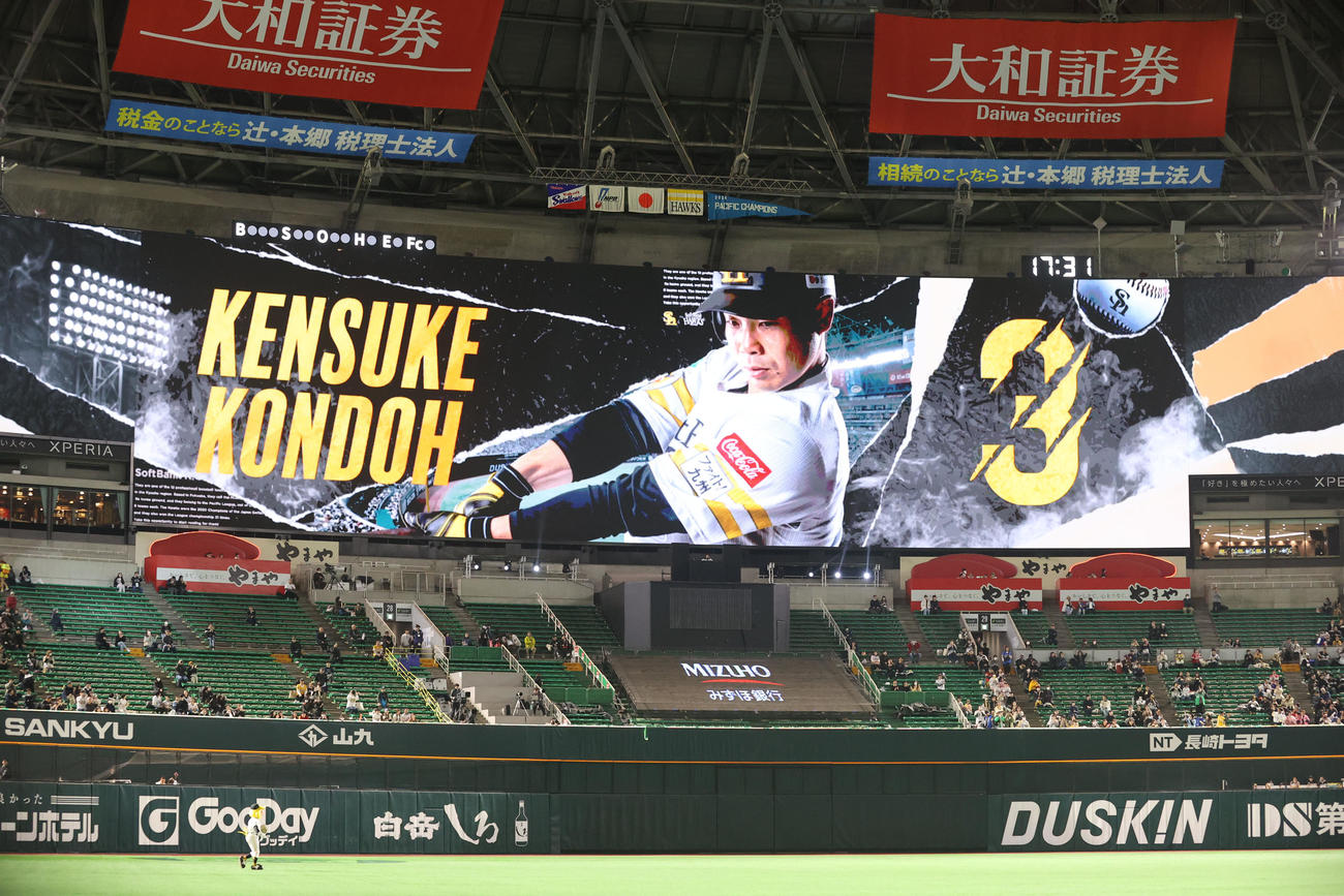 ソフトバンク対ヤクルト　右翼手の近藤（撮影・梅根麻紀）（撮影・梅根麻紀）