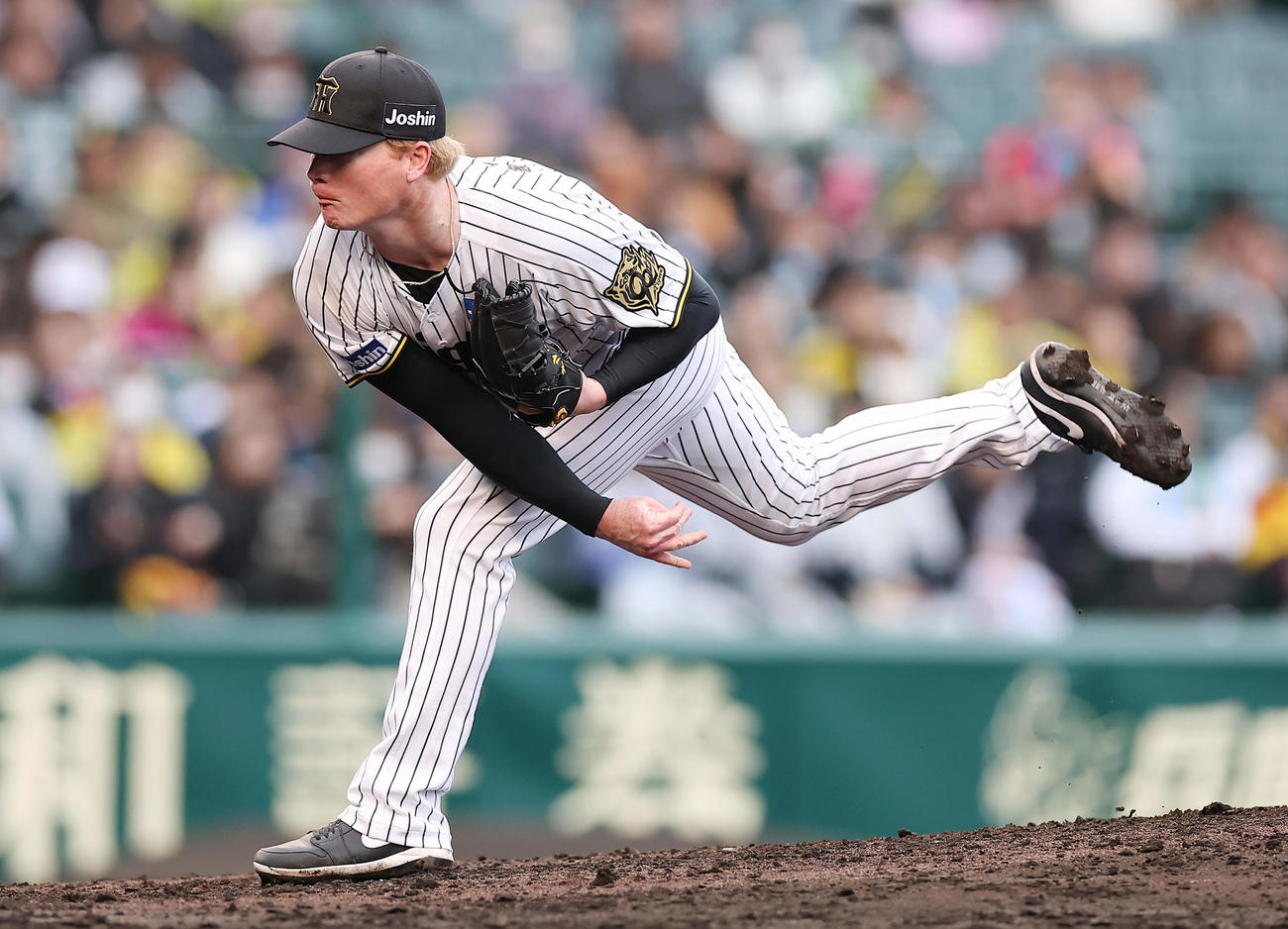 阪神対中日　阪神4番手のネルソン（撮影・前田充）