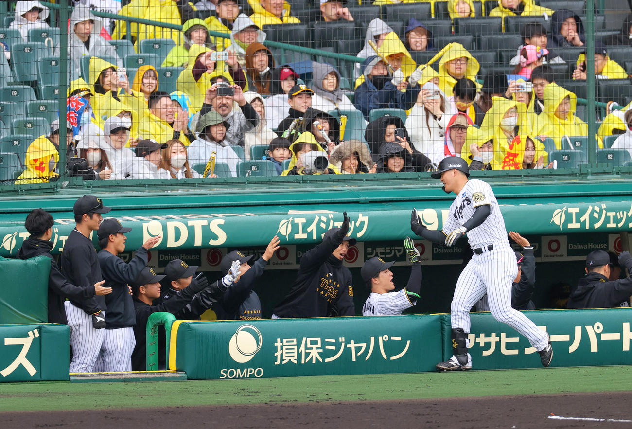 オープン戦・阪神対中日　2回裏阪神無死、前川（手前）は左越えソロ本塁打を放ちナインの祝福を受ける（撮影・上山淳一）