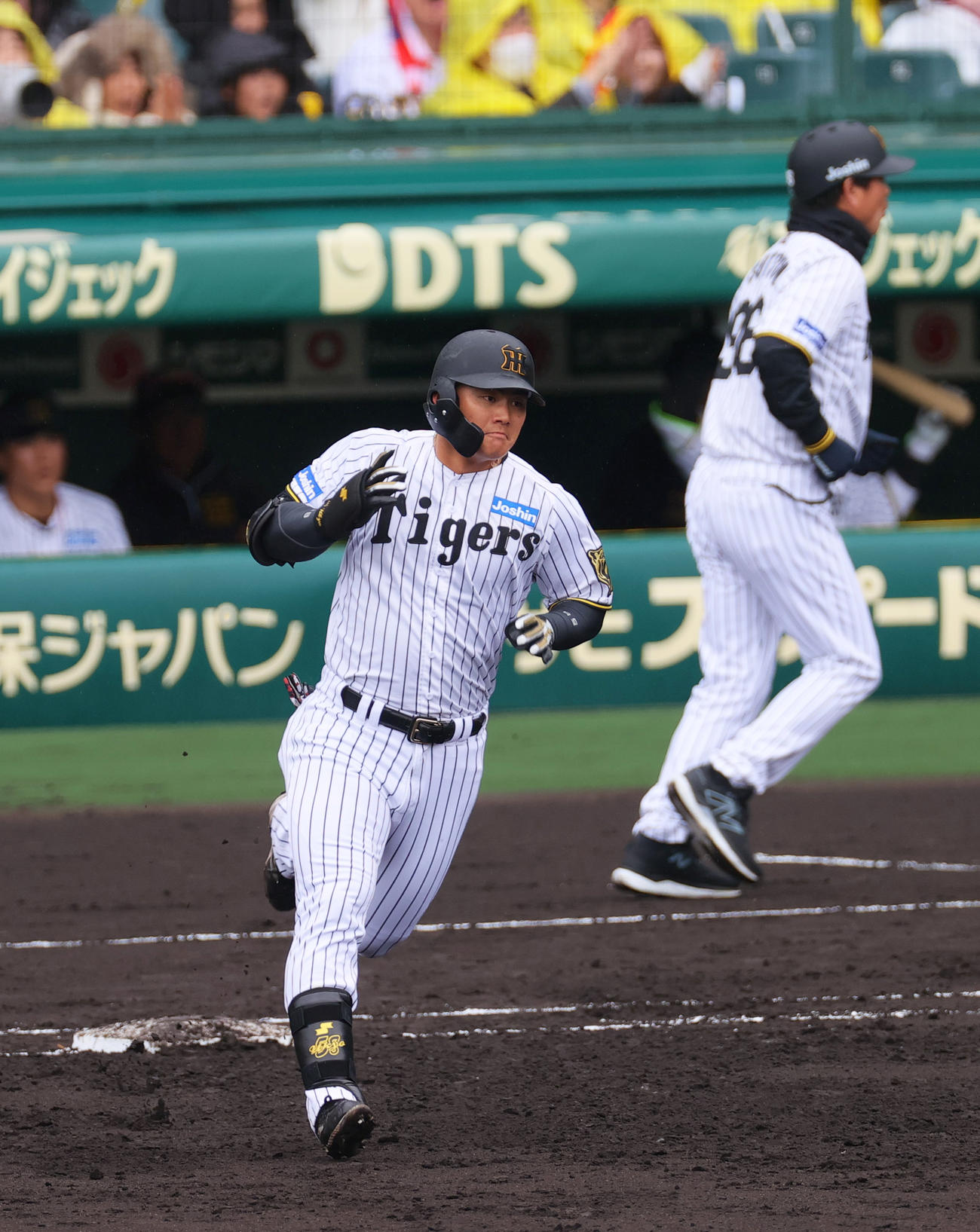 オープン戦・阪神対中日　2回裏阪神無死、前川は左越えソロ本塁打を放ちダイヤモンドを1周する（撮影・上山淳一）