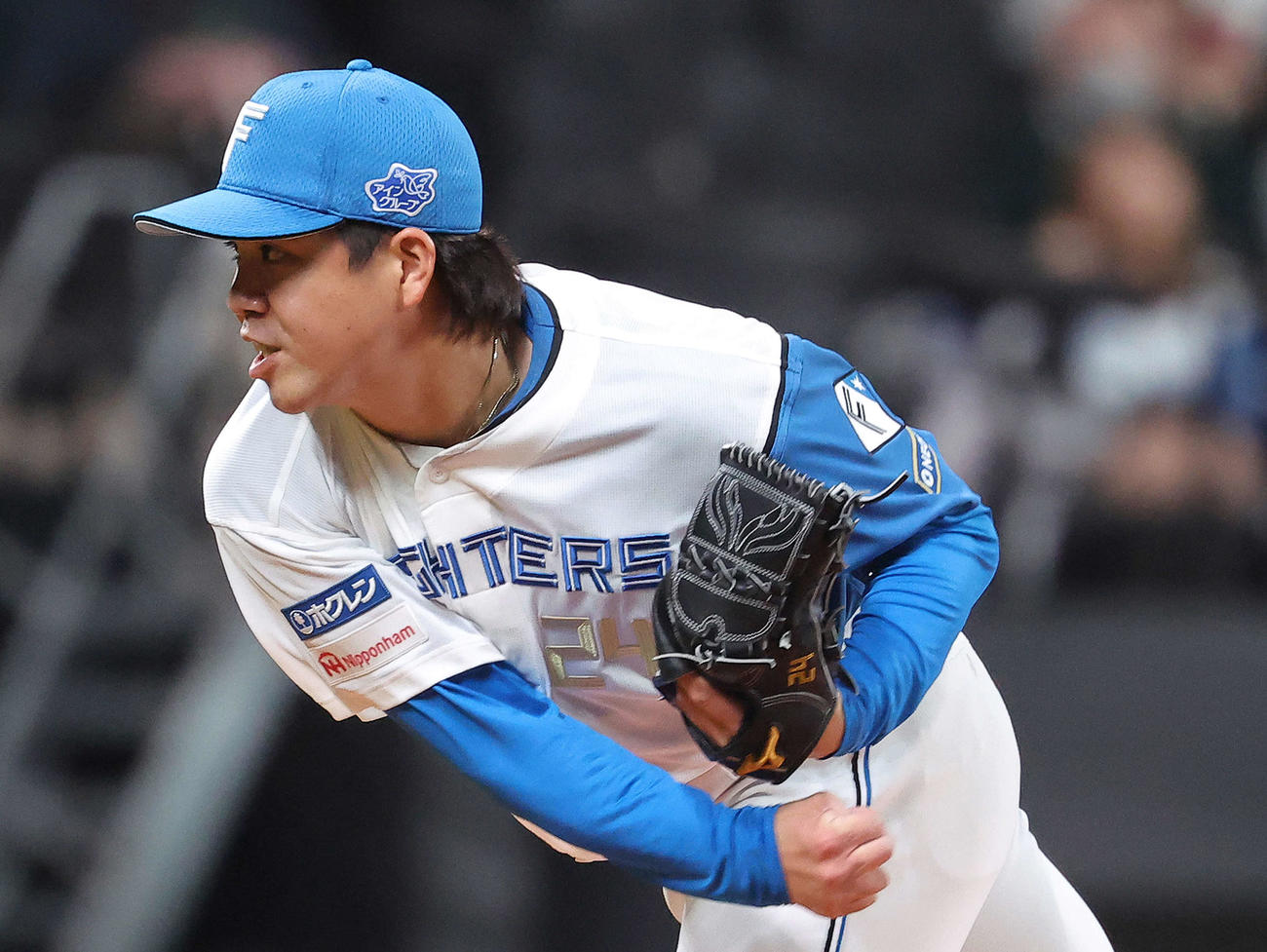 日本ハム対西武　先発登板する日本ハム金村（撮影・河田真司）