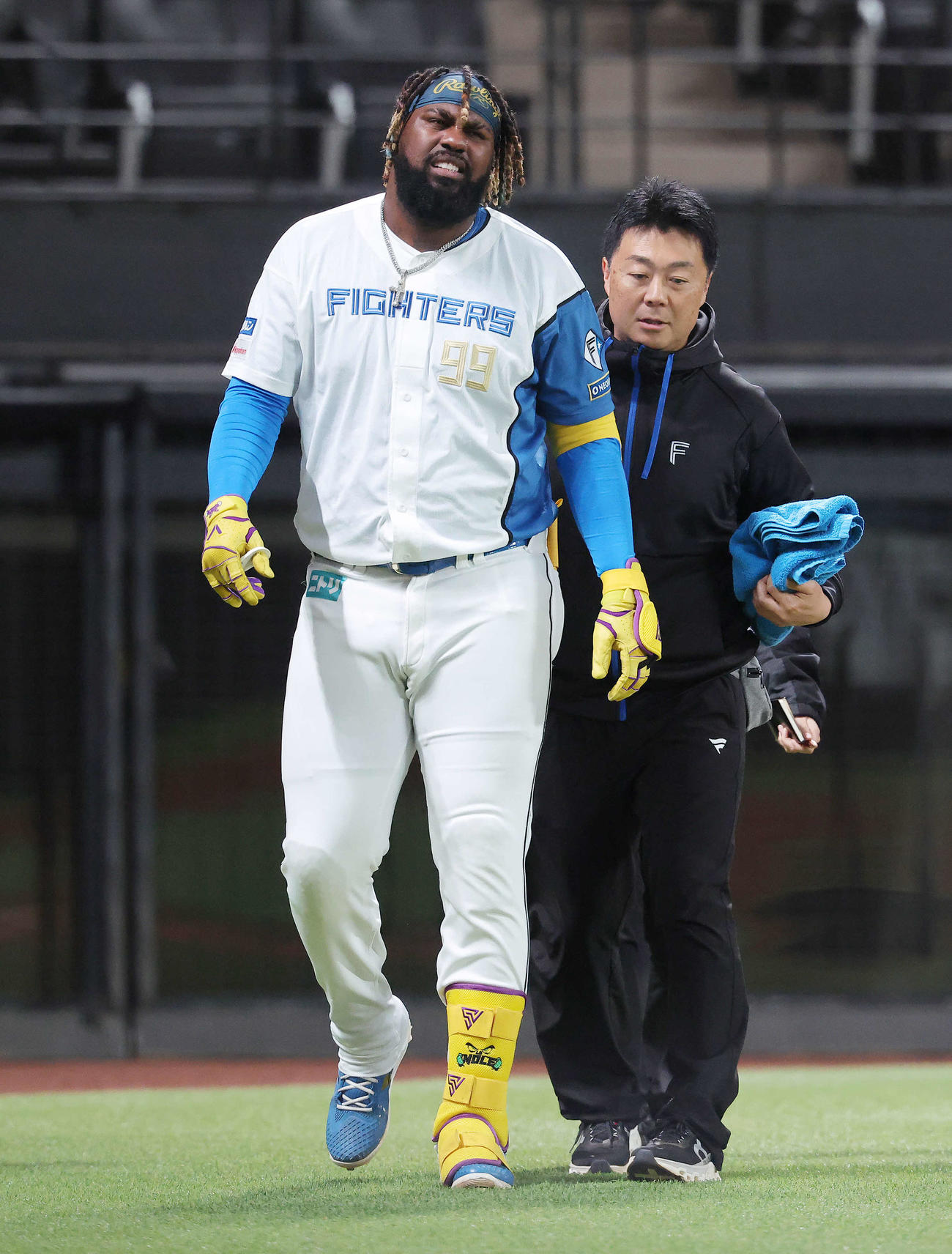 日本ハム対西武　8回裏日本ハム2死、死球を受けるレイエス（撮影・河田真司）