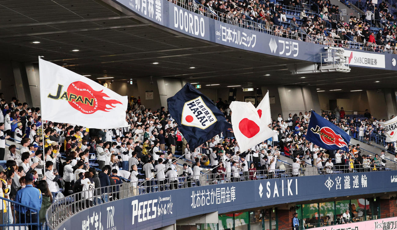日本対オランダ　声援を送る日本ファン（撮影・加藤哉）