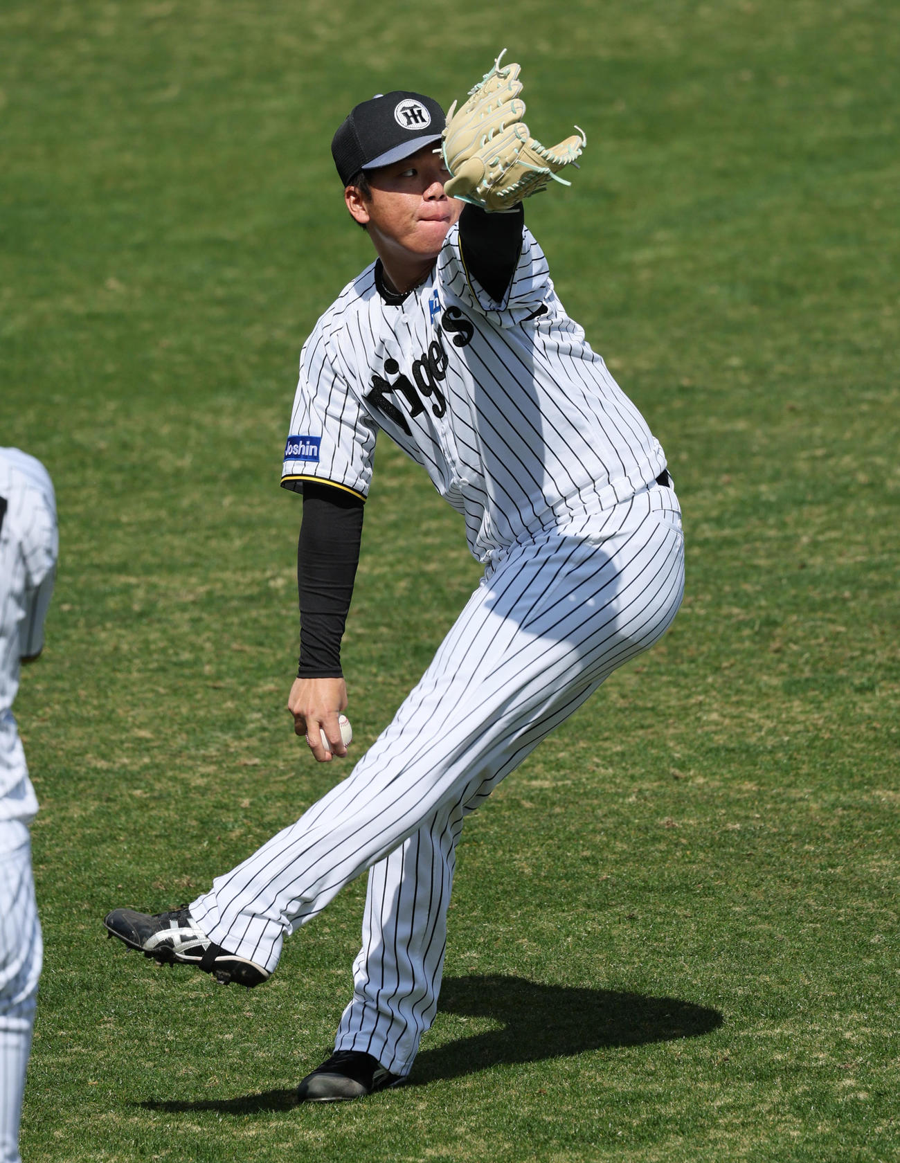 キャッチボールするする阪神村上（撮影・宮崎幸一）