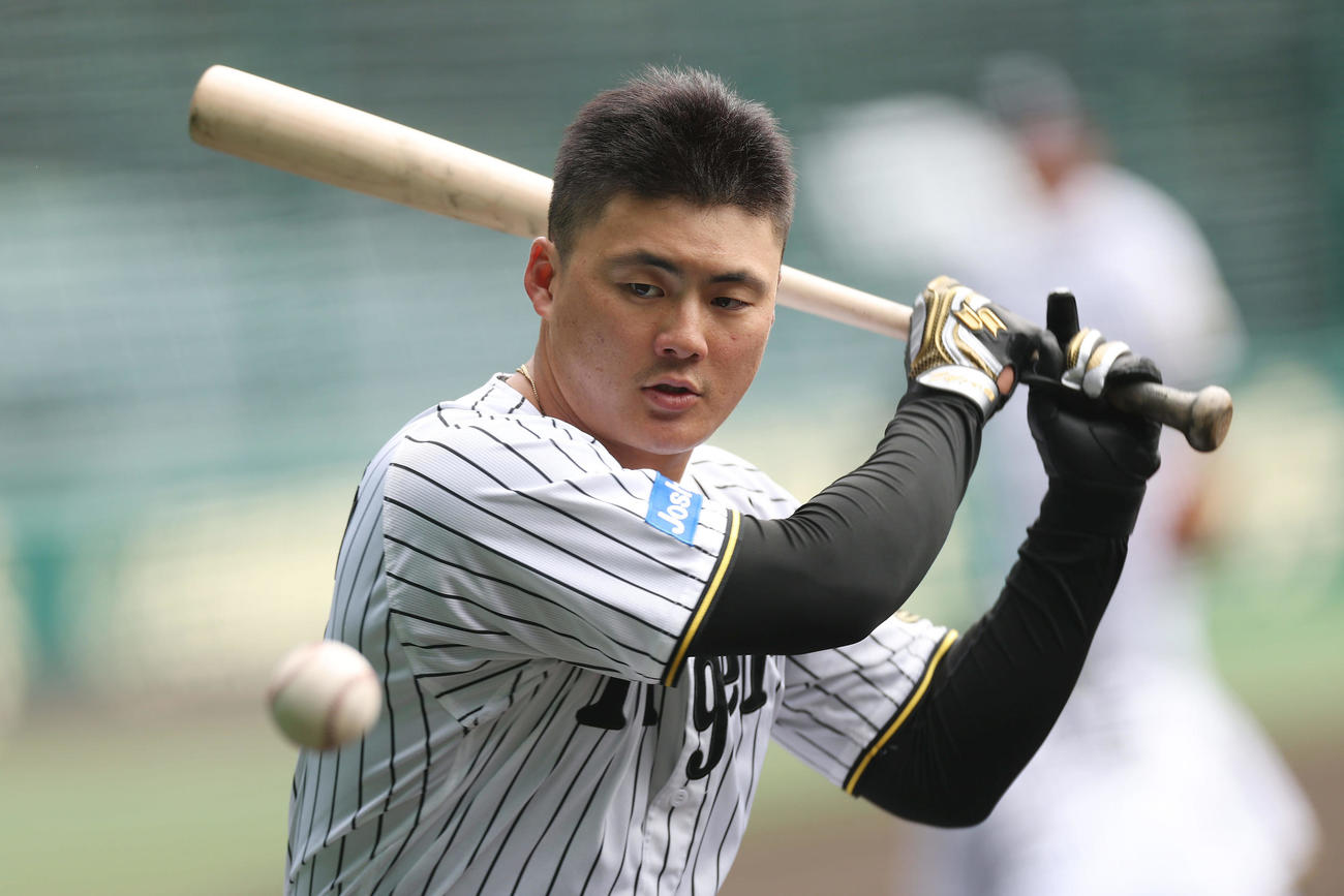 打撃練習を行う阪神前川（撮影・前田充）