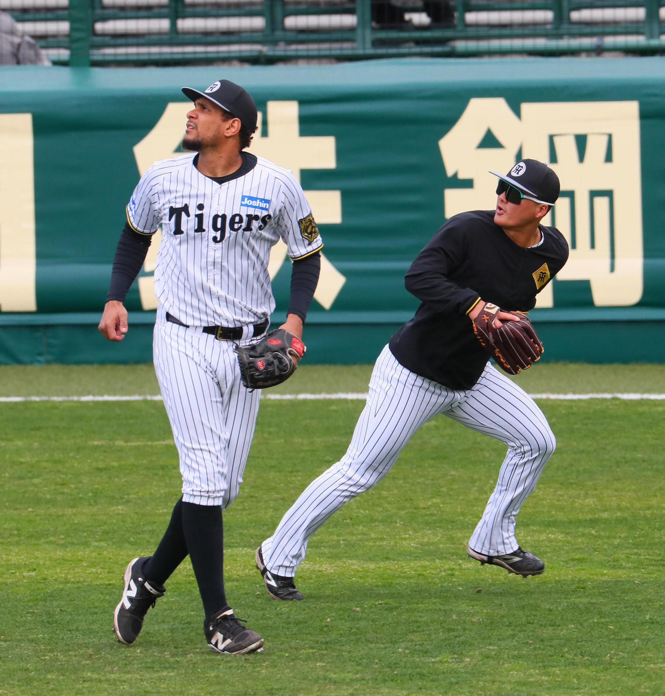 外野ノックを受ける阪神ヘルナンデス（左）と前川（撮影・宮崎幸一）