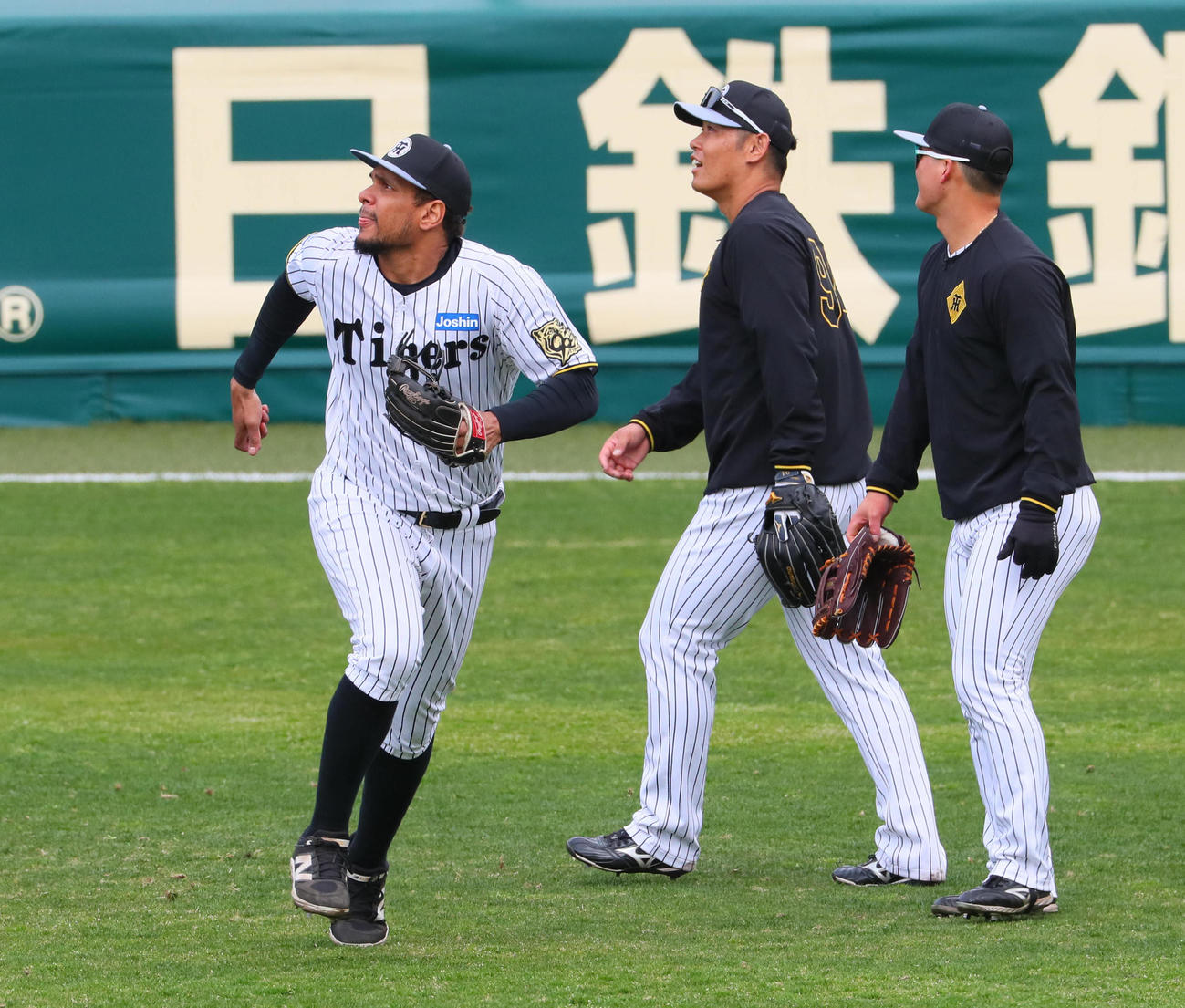 外野ノックを受ける、左から阪神ヘルナンデス、原口、前川（撮影・宮崎幸一）