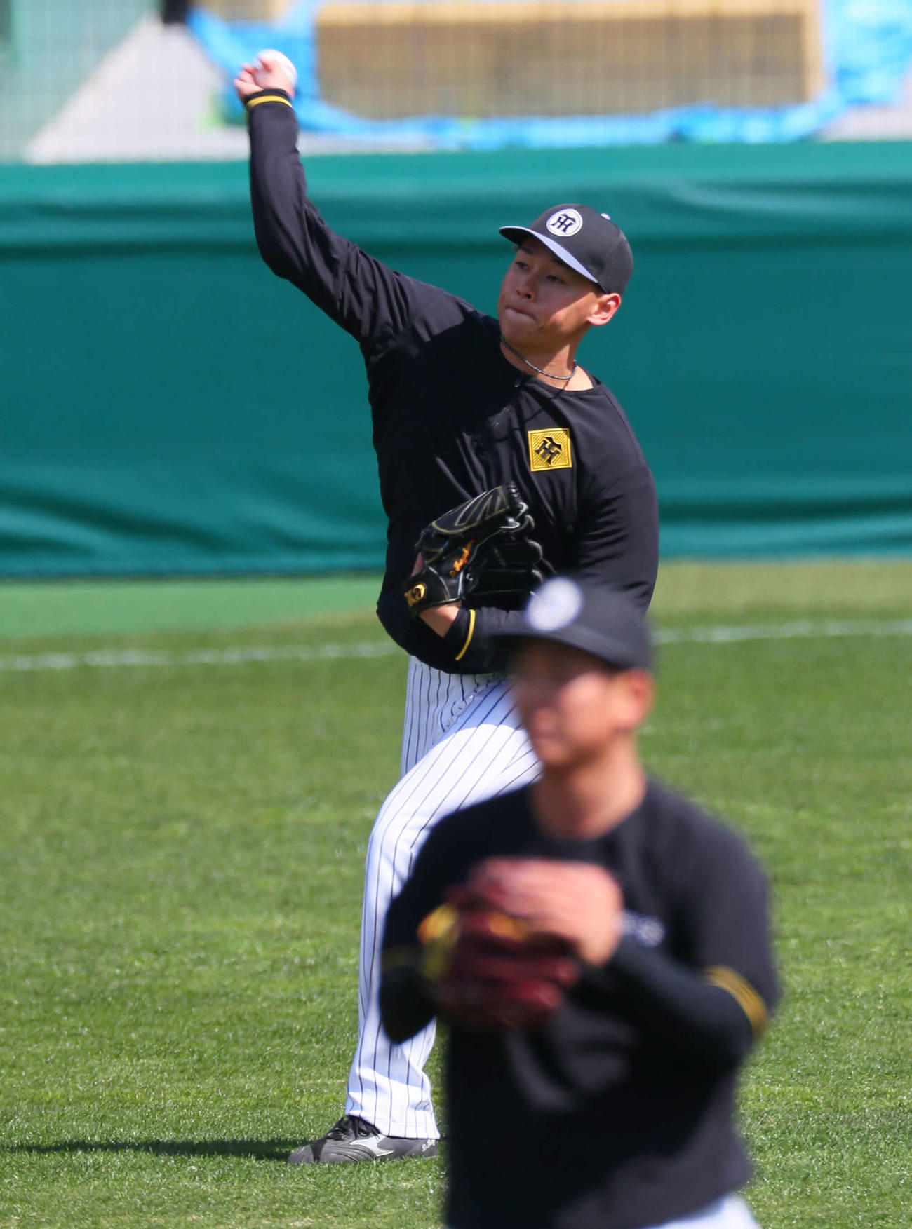 キャッチボールを行う阪神早川（撮影・宮崎幸一）