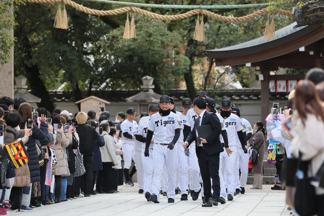 岩崎を先頭に神社参拝に向かう阪神ナイン（撮影・宮崎幸一）