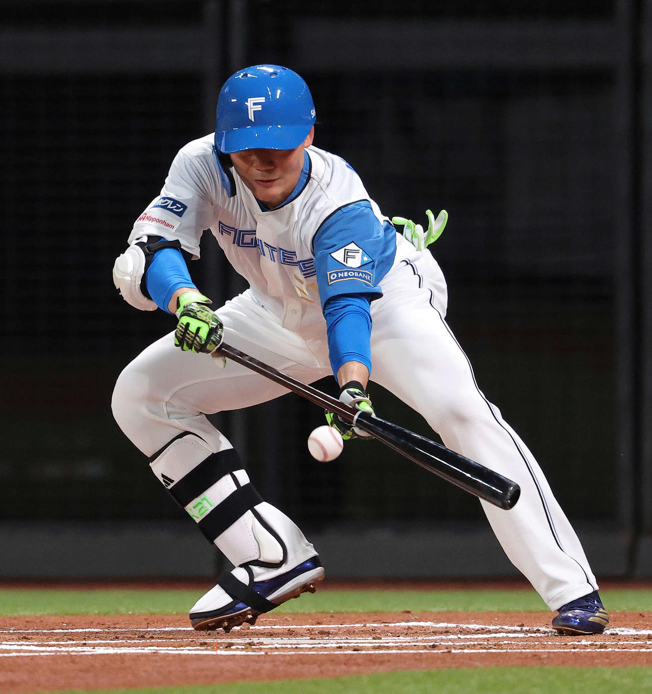 日本ハム対西武　1回裏日本ハム無死一塁、犠打を放つ清宮幸（撮影・河田真司）