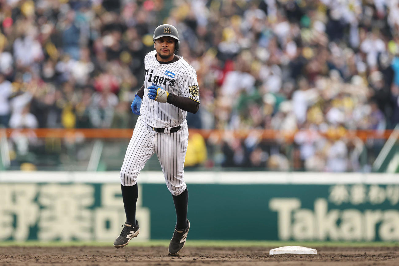 阪神対DeNA 5回裏阪神1死、左中間へ本塁打を放ち、ダイヤモンドをまわるヘルナンデス（撮影・前田充）