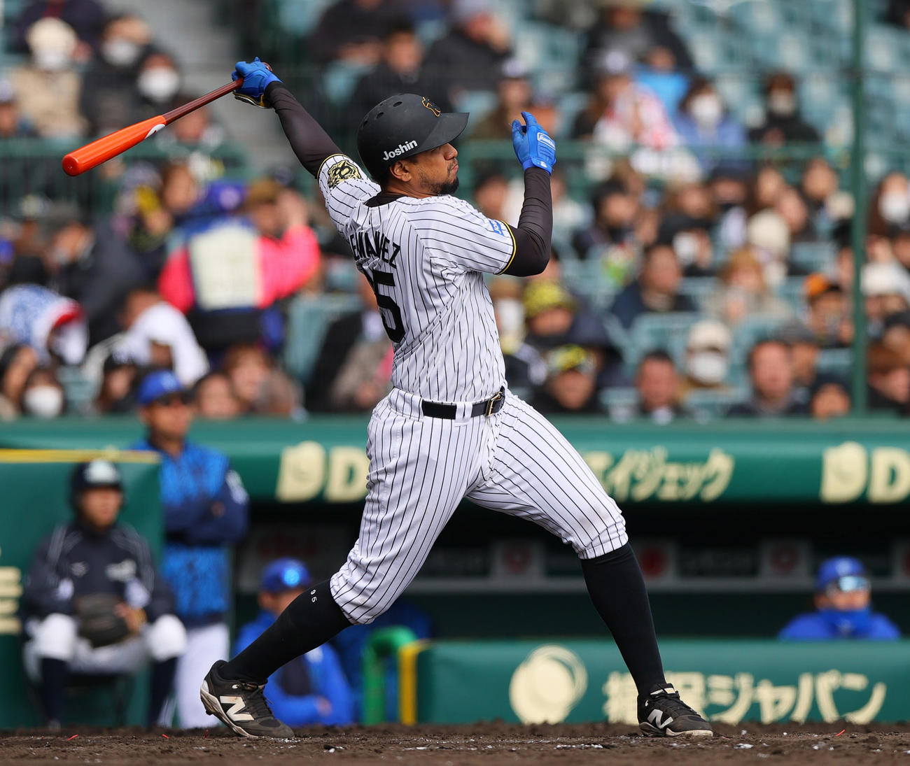 オープン戦・阪神対DeNA 5回裏阪神1死、ヘルナンデスは左越えソロ本塁打を放つ（撮影・上山淳一）
