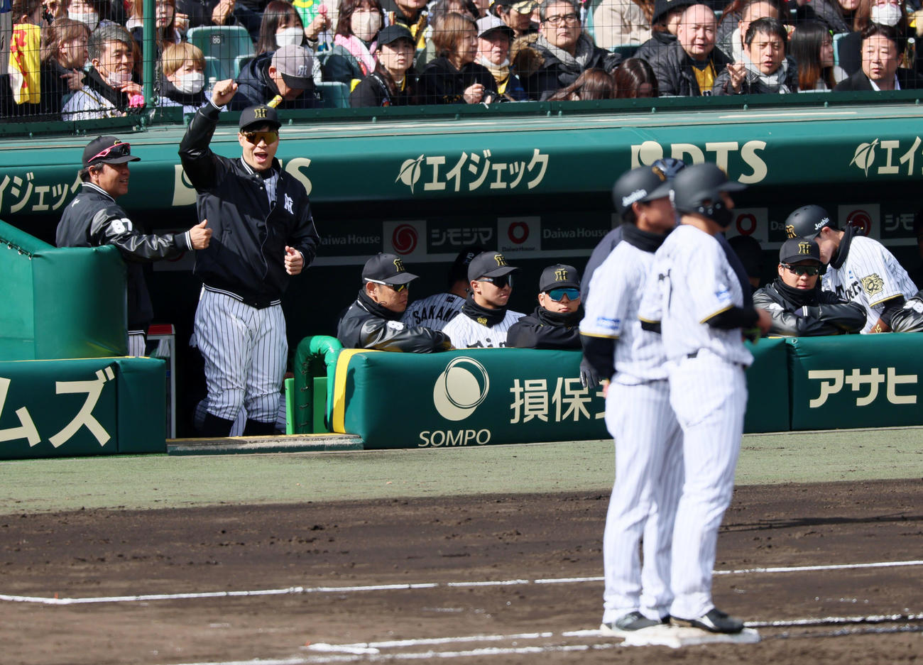 阪神対DeNA 3回裏阪神2死満塁、高寺の左前2点適時打にベンチから1人ガッツポーズで声を出す佐藤輝（撮影・加藤哉