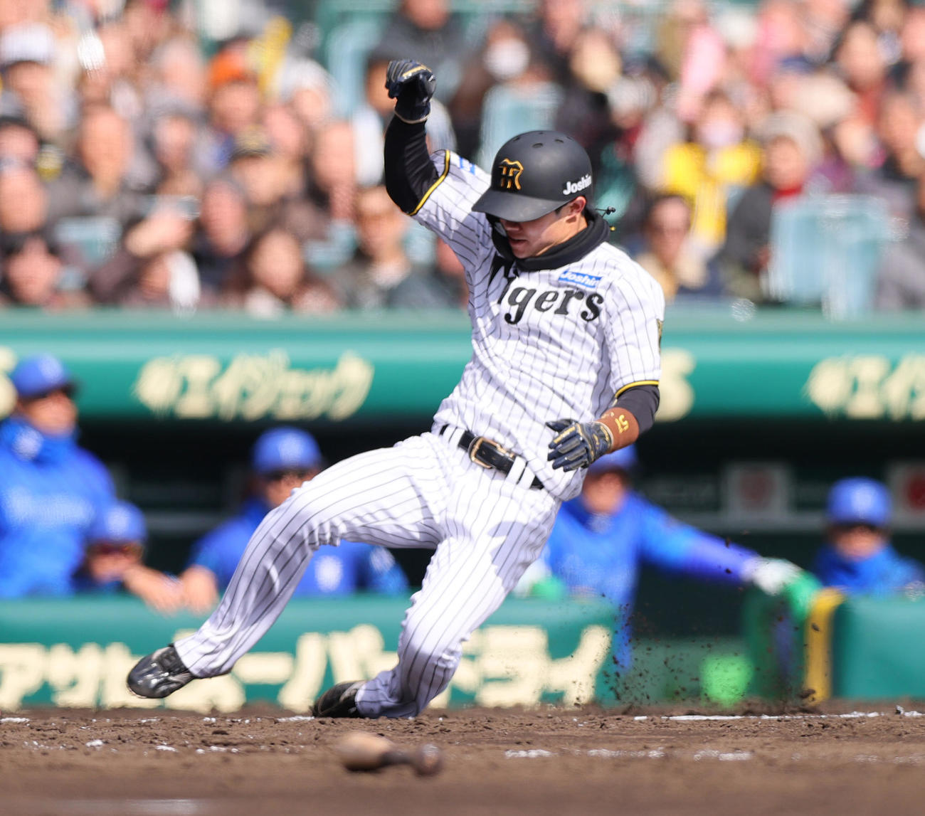 オープン戦・阪神対DeNA 3回裏阪神1死満塁、二走中野は高寺の左前2点適時打で生還する（撮影・上山淳一）
