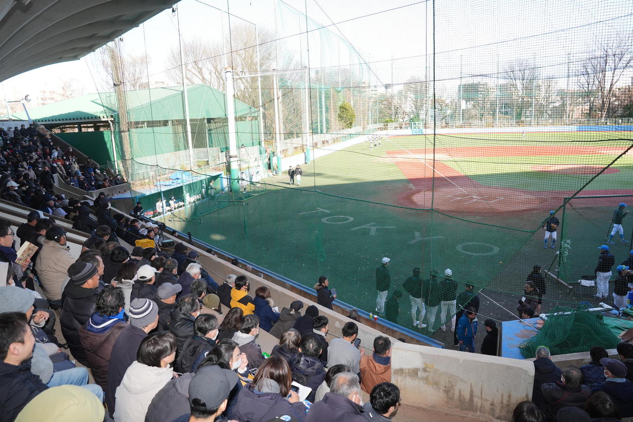 横浜対東大　練習試合を見る観客で埋まる東大球場スタンド（撮影・垰建太）