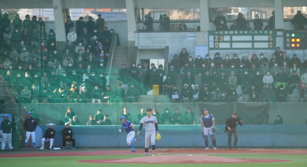 横浜対東大　多くの観衆が見つめる東大との練習試合のマウンドに上がった横浜先発の織田（撮影・垰建太）