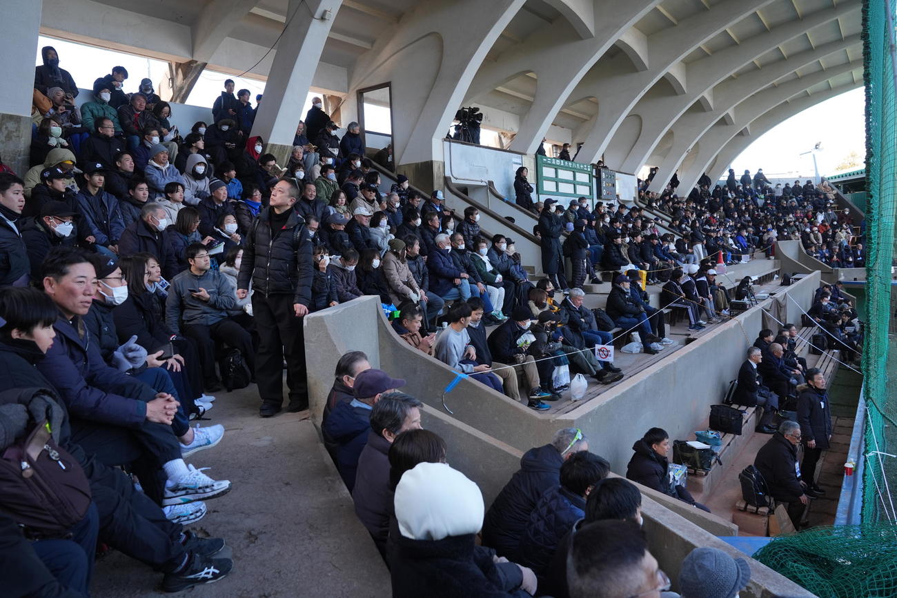 横浜対東大　練習試合を見る観客で埋まる東大球場スタンド（撮影・垰建太）