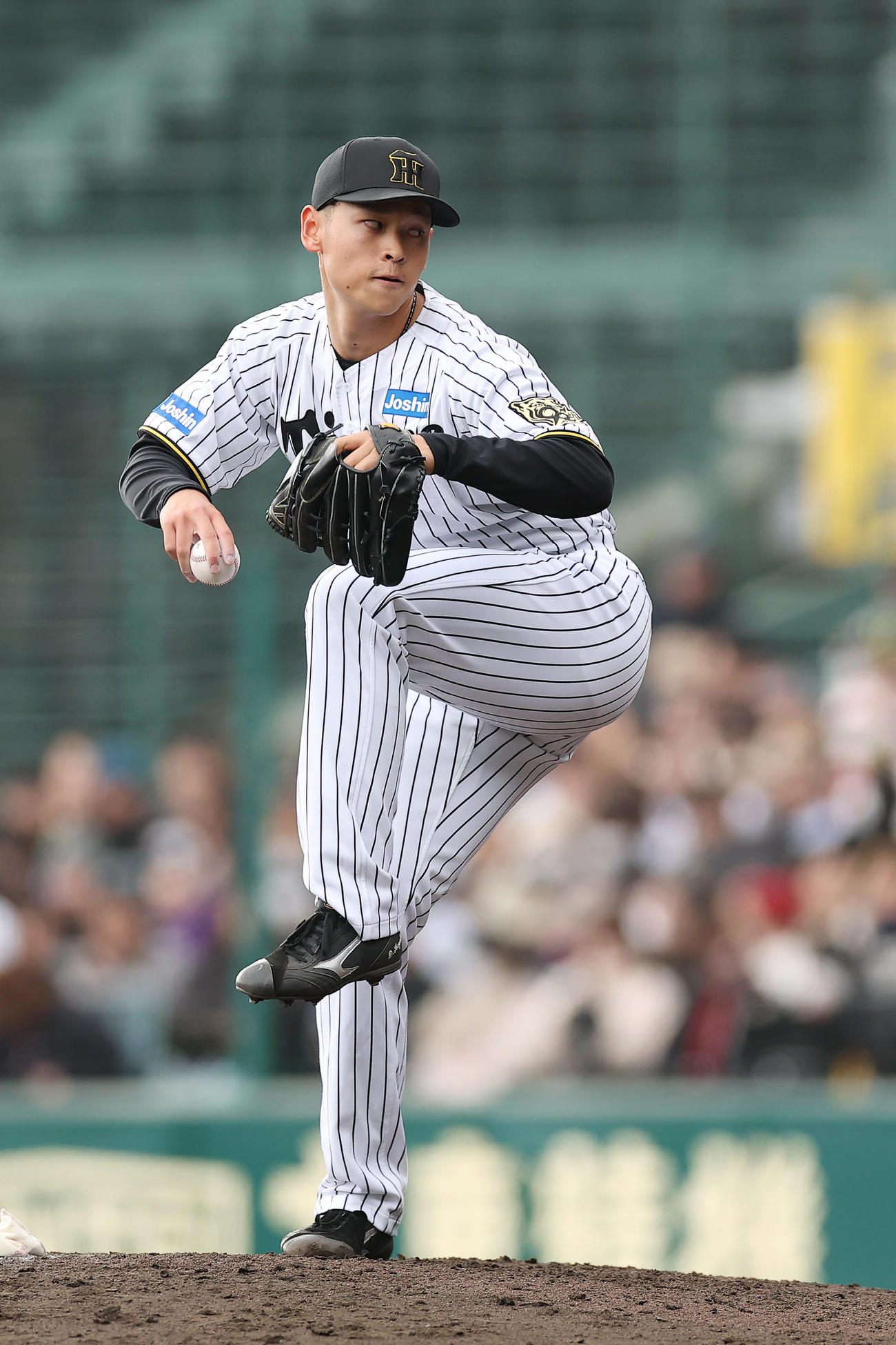 阪神対DeNA　力投する阪神3番手の早川（撮影・前田充）