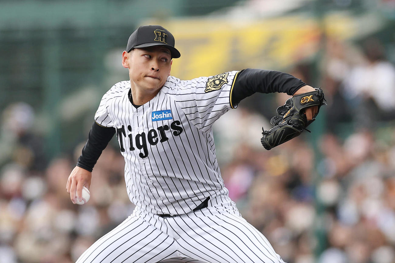 阪神対DeNA　力投する阪神3番手の早川（撮影・前田充）