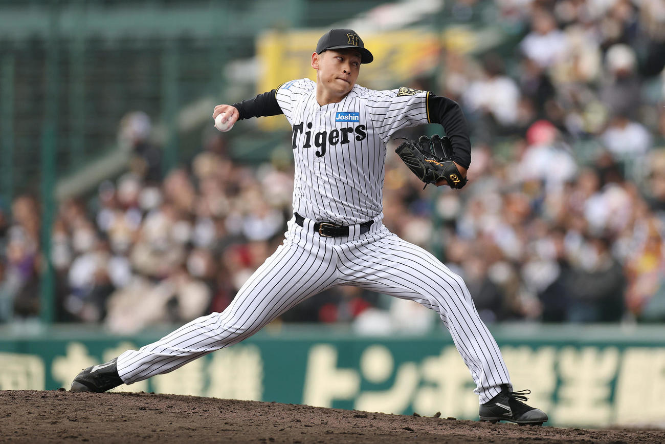阪神対DeNA　力投する阪神3番手の早川（撮影・前田充）