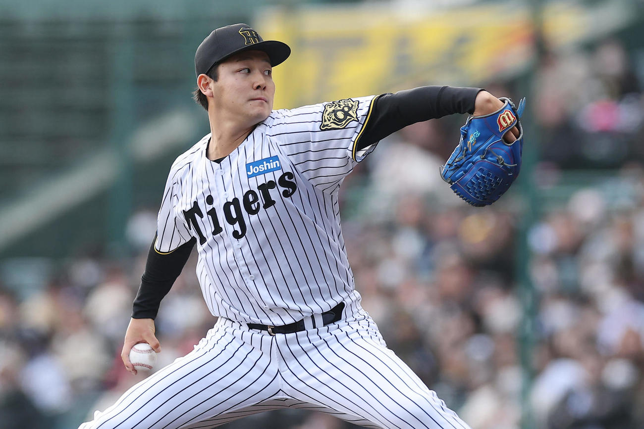 阪神対DeNA　力投する阪神4番手の木下（撮影・前田充）