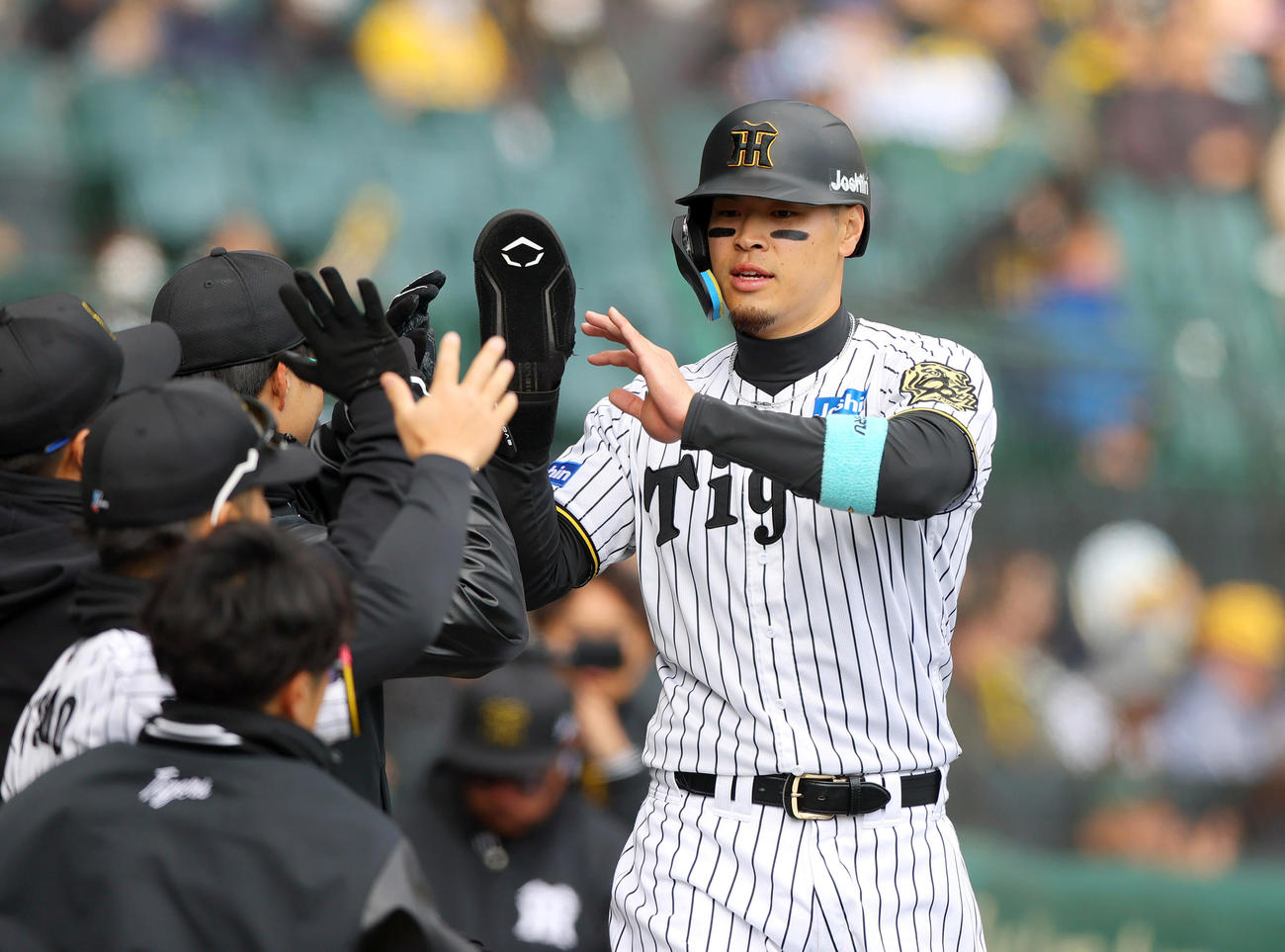 オープン戦・阪神対DeNA 7回裏阪神1死二塁、二走佐藤輝（右）は代打大山の右適時二塁打で生還しナインから出迎えを受ける（撮影・上山淳一）