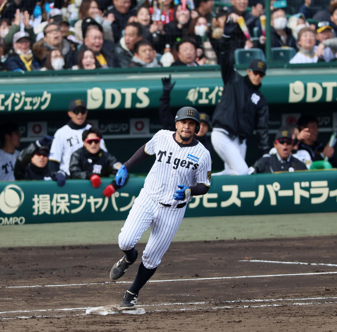 阪神対DeNA 5回裏阪神1死、ヘルナンデスは左中間越えにソロ本塁打を放つ（撮影・加藤哉