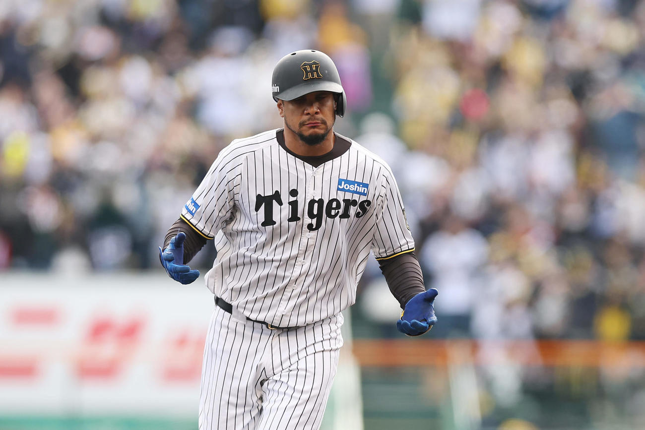 阪神対DeNA 5回裏阪神1死、左中間へ本塁打を放ち、ダイヤモンドをまわるヘルナンデス（撮影・前田充）