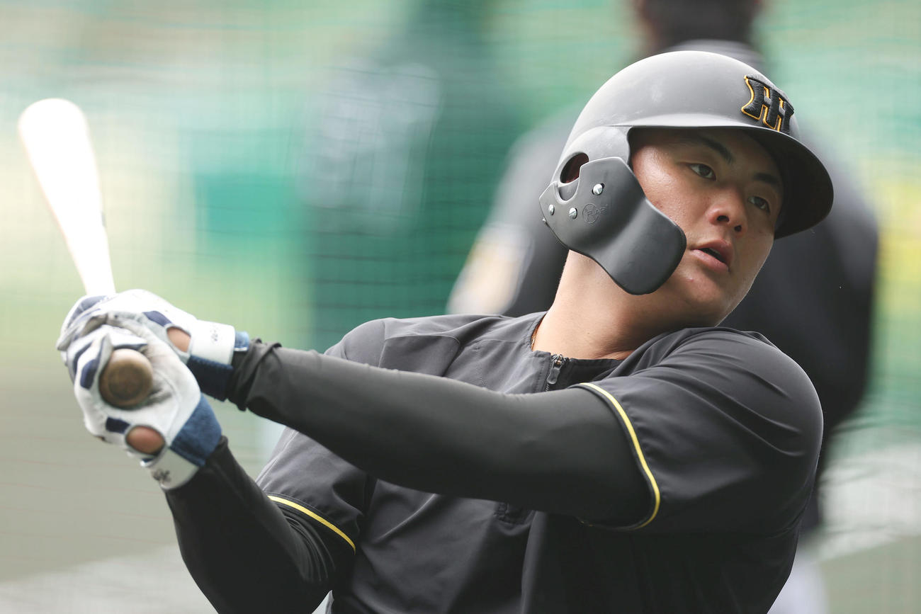 阪神対DeNA　打撃練習を行う阪神前川（撮影・前田充）