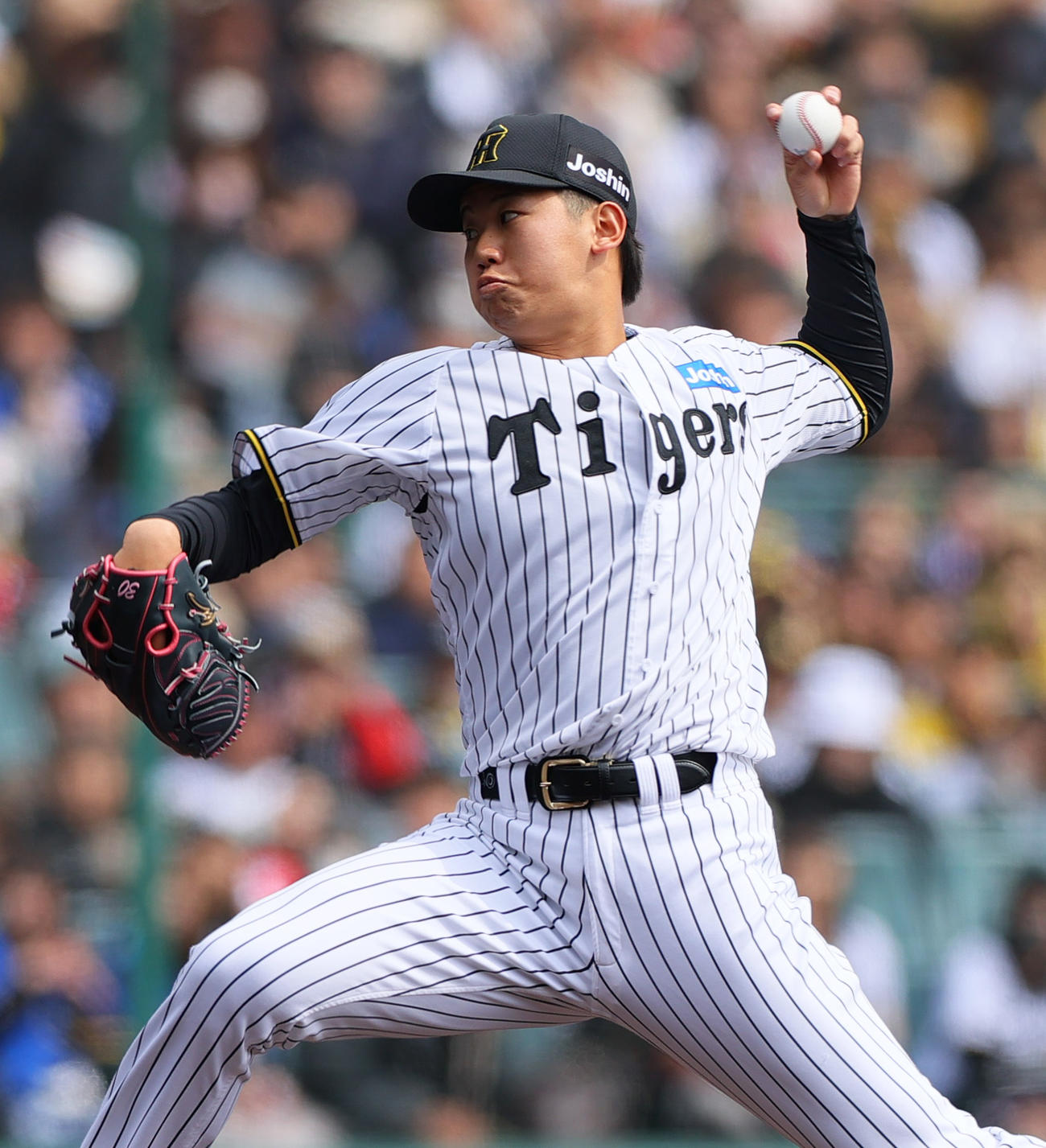 オープン戦・阪神対DeNA　阪神先発の門別（撮影・上山淳一）