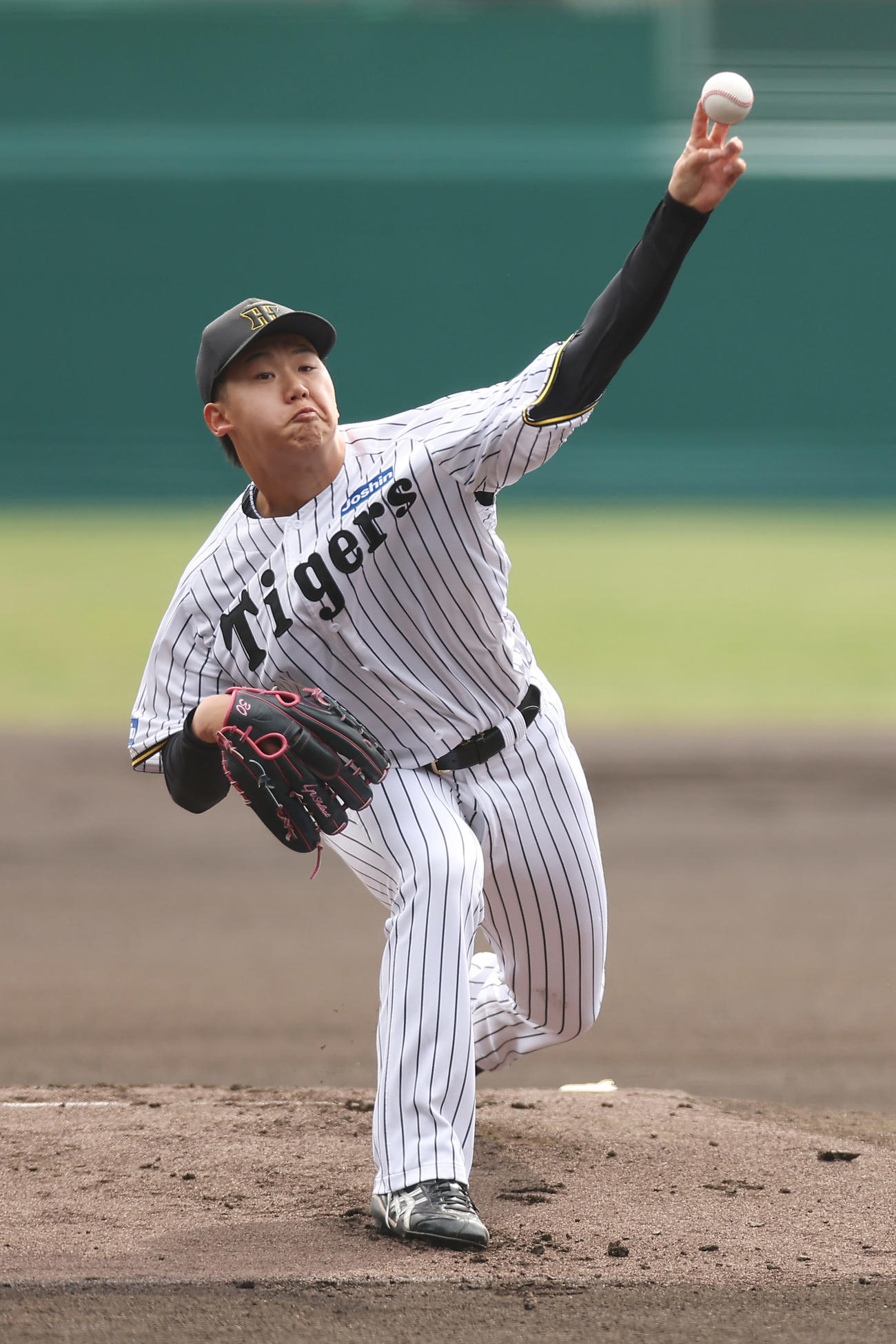 阪神対DeNA　力投する阪神先発の門別（撮影・前田充）