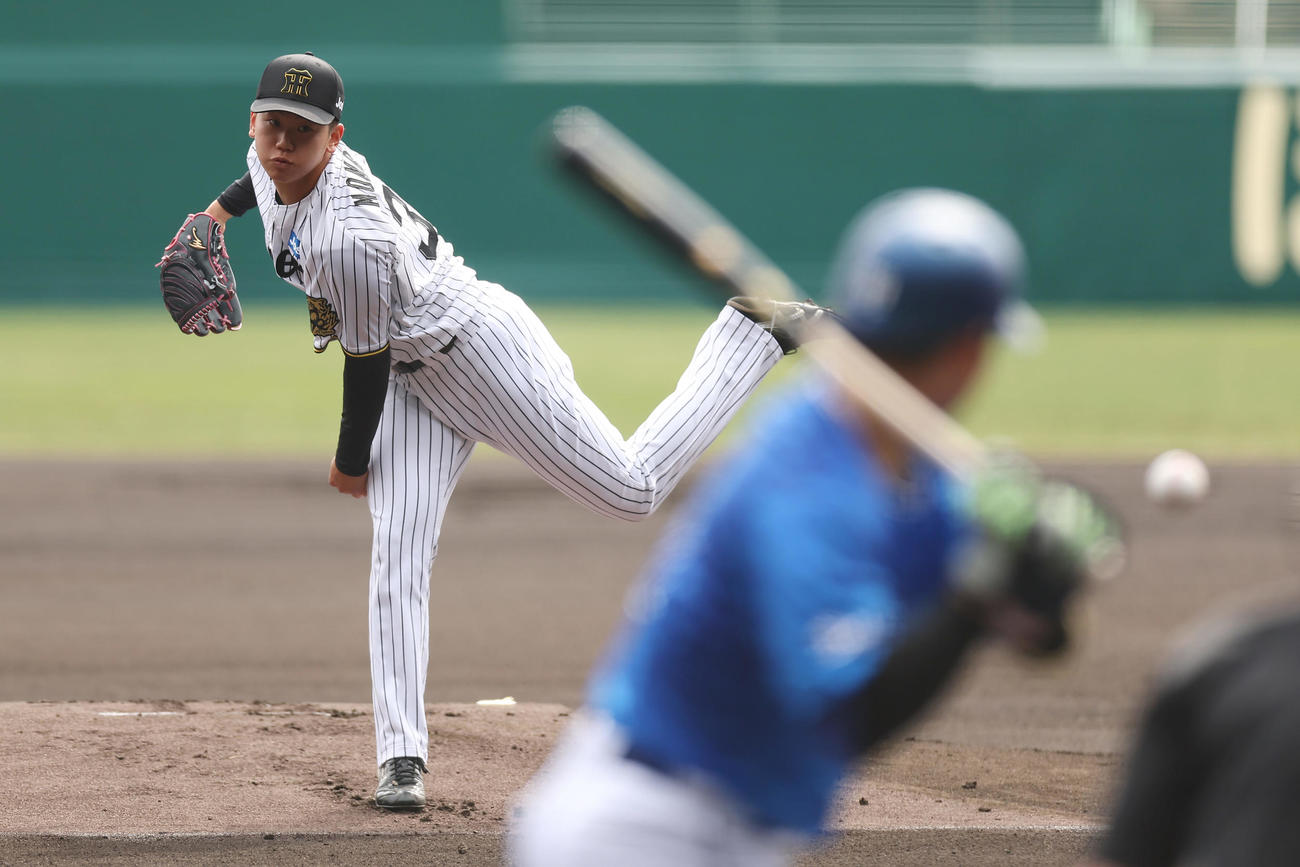 阪神対DeNA　力投する阪神先発の門別。打者蝦名（撮影・前田充）