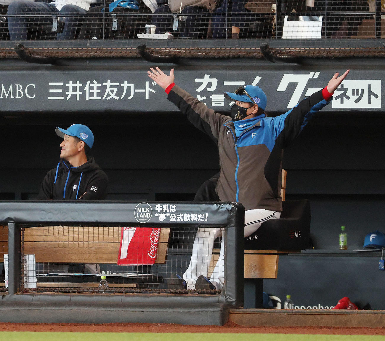 日本ハム対中日　6回裏日本ハム2死満塁、水野が右越え逆転満塁本塁打を放ち、ベンチで両手を広げる新庄監督（撮影・河田真司）