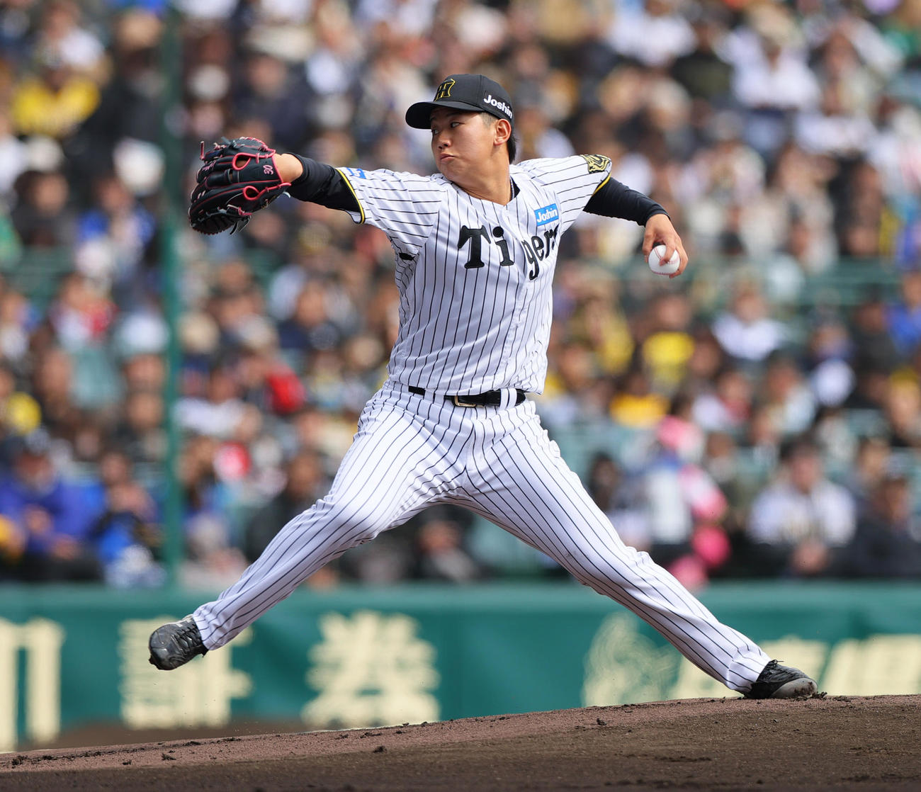 阪神対DeNA 4回を2安打無失点て抑えた阪神先発の門別（撮影・前田充）